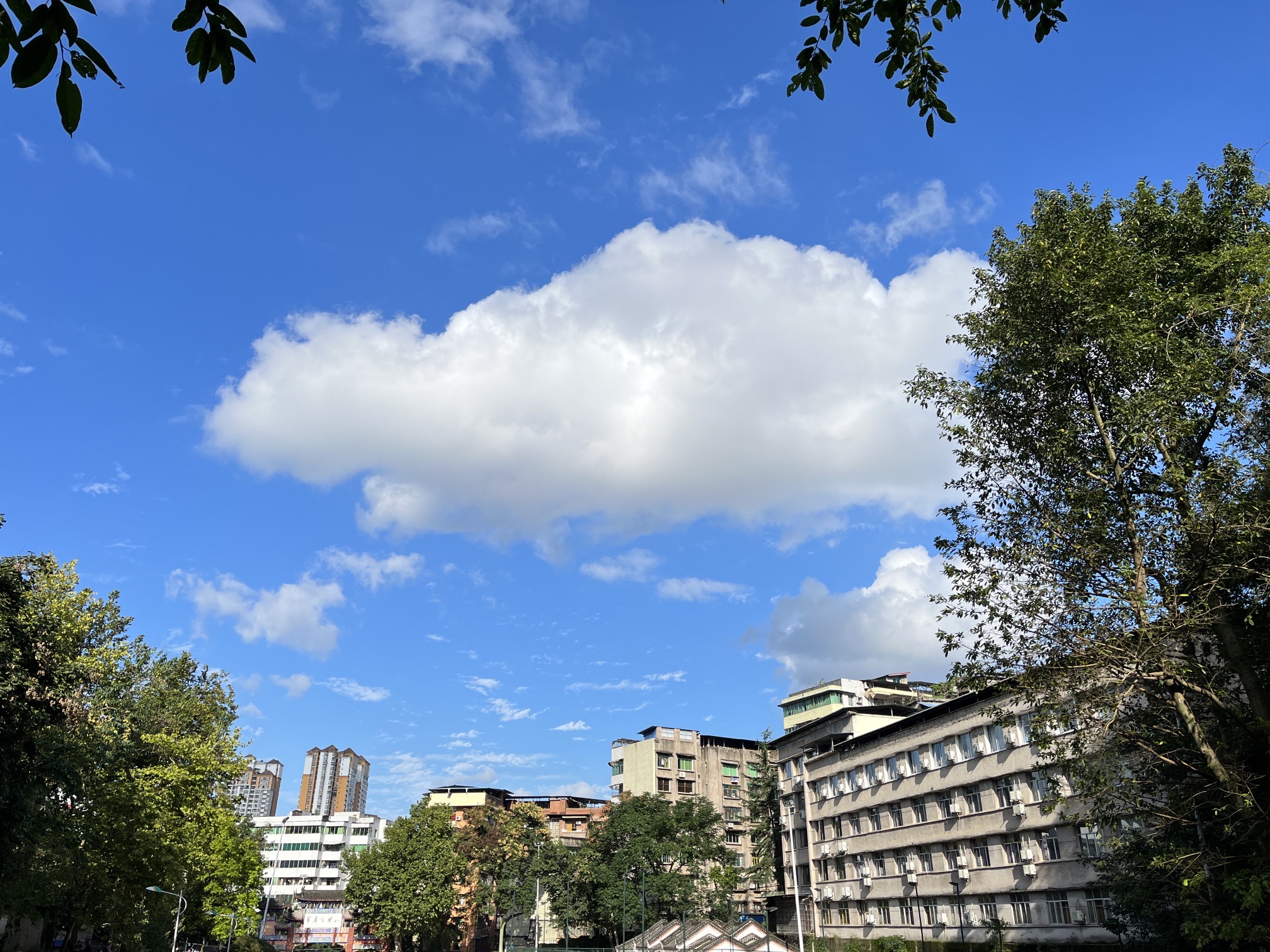 萃屏公园旅行图片 2