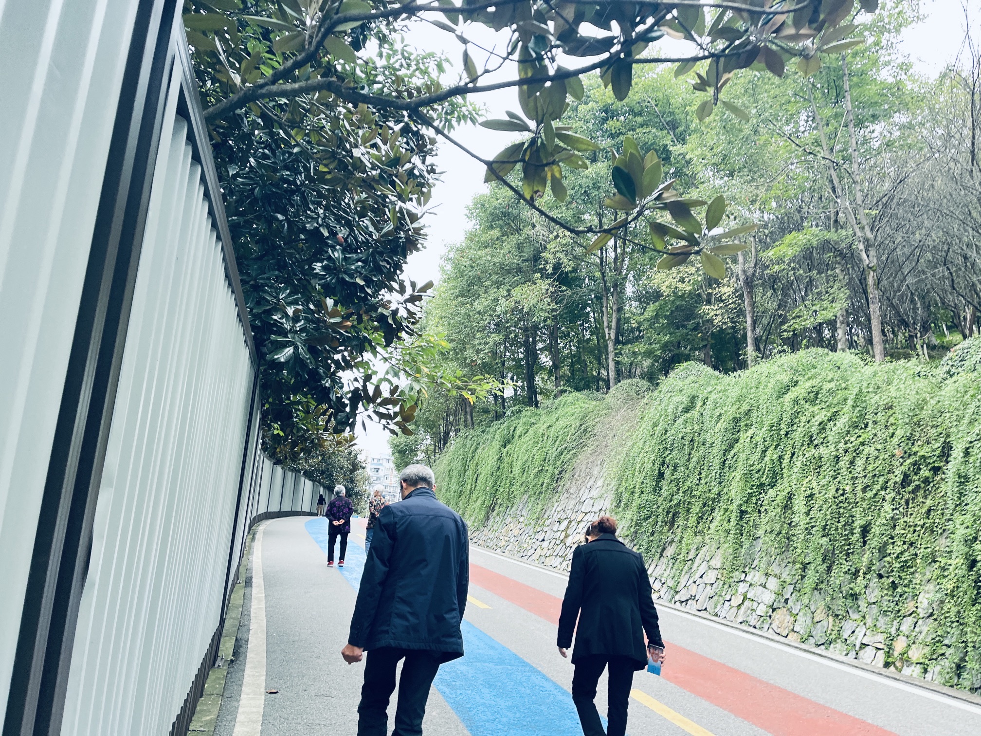 萃屏公园旅行图片 1