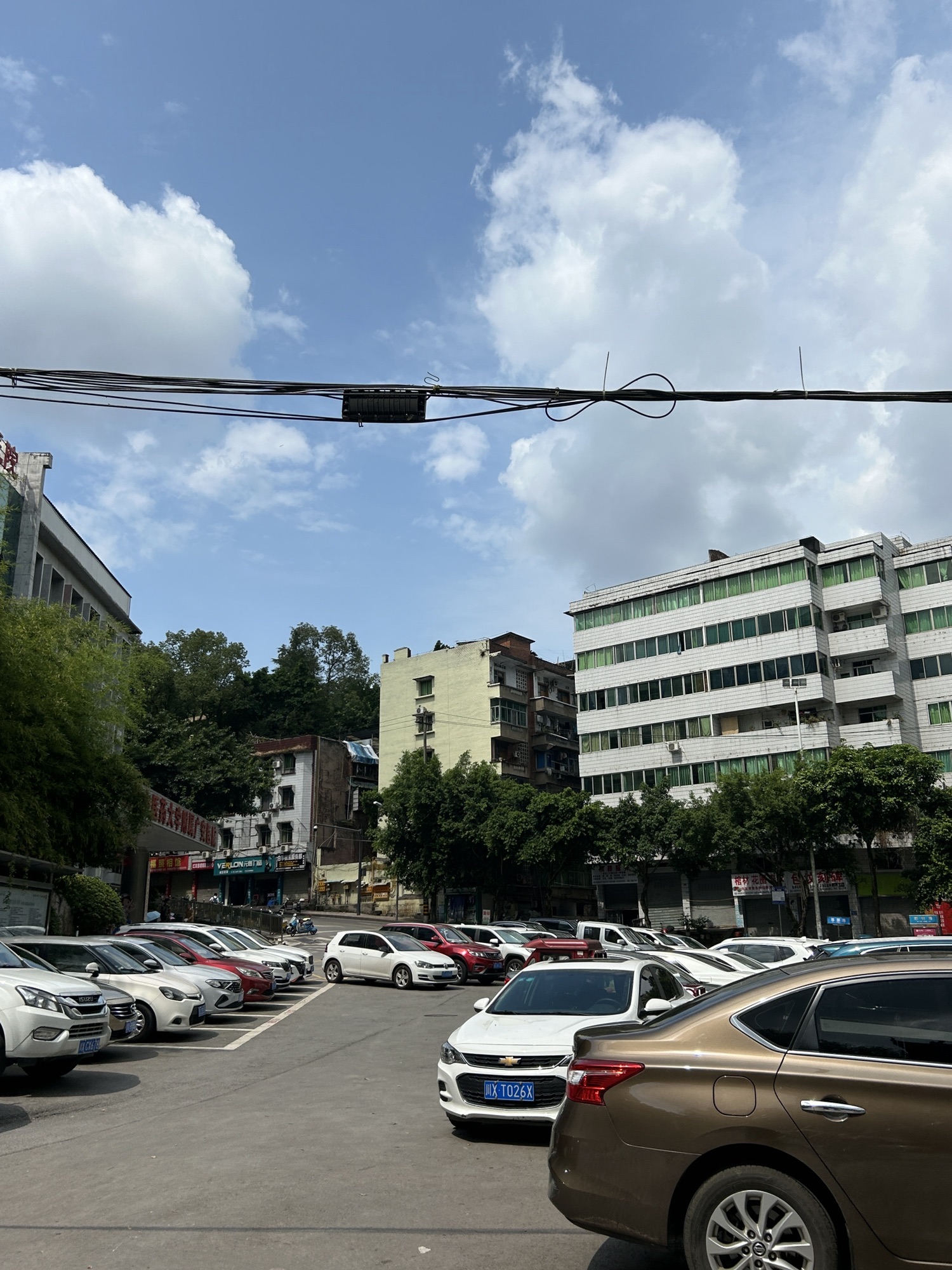 萃屏公园旅行图片 3