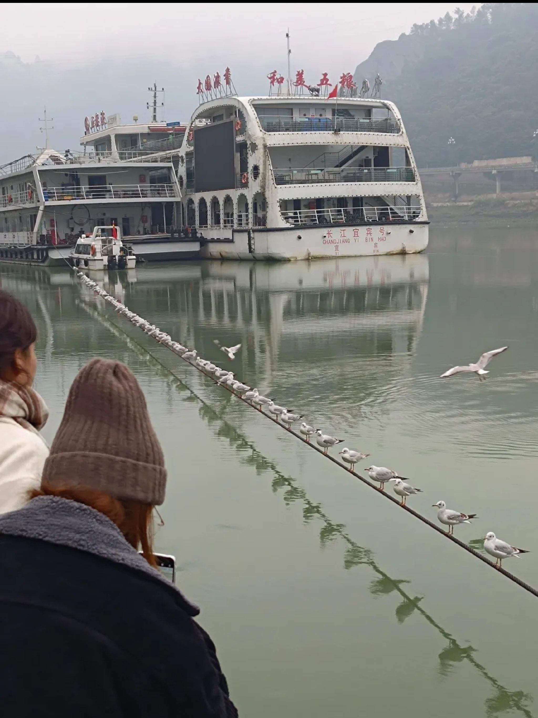 萃屏公园旅行图片 1