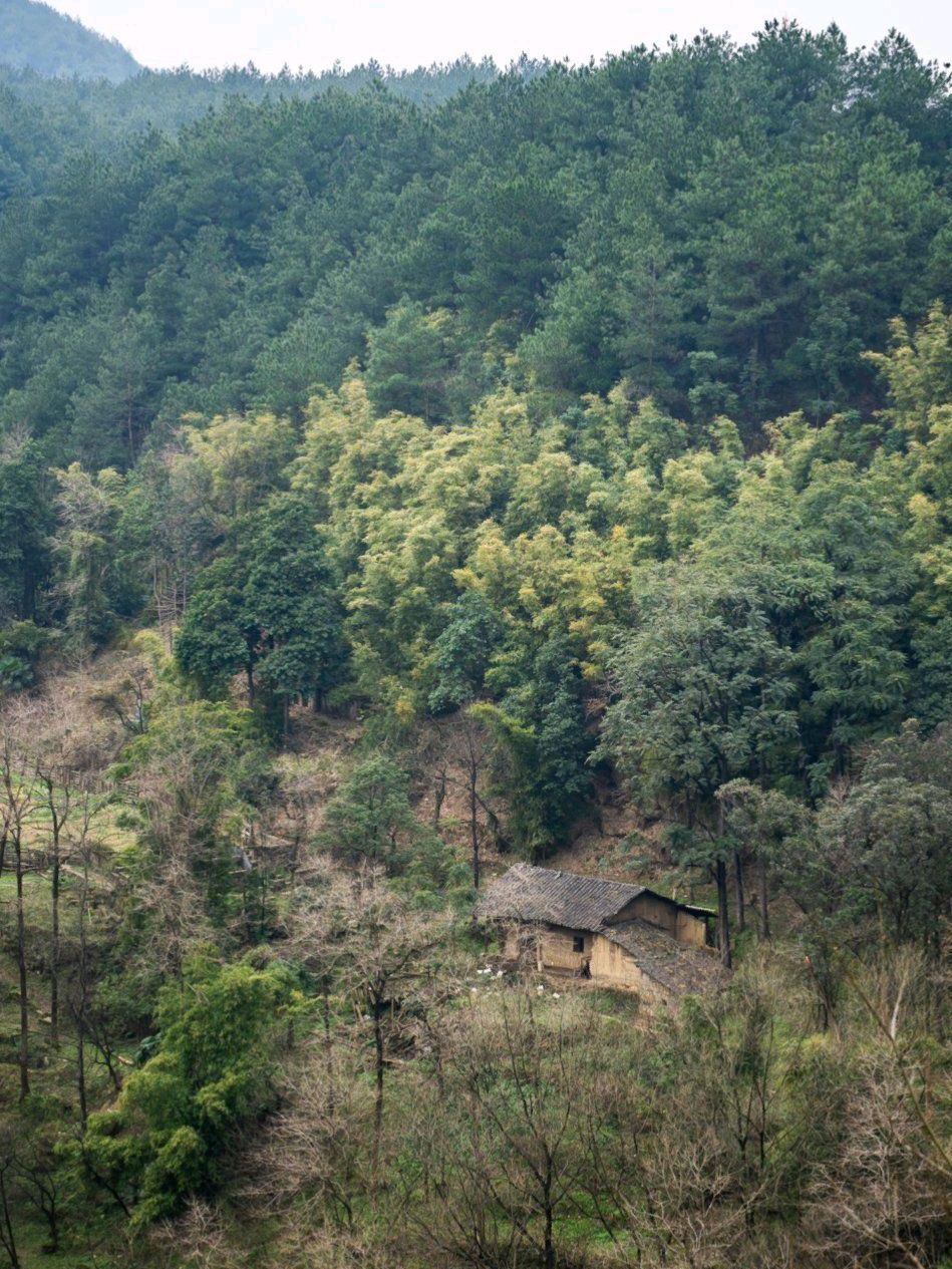 观音洞寺旅行图片 2