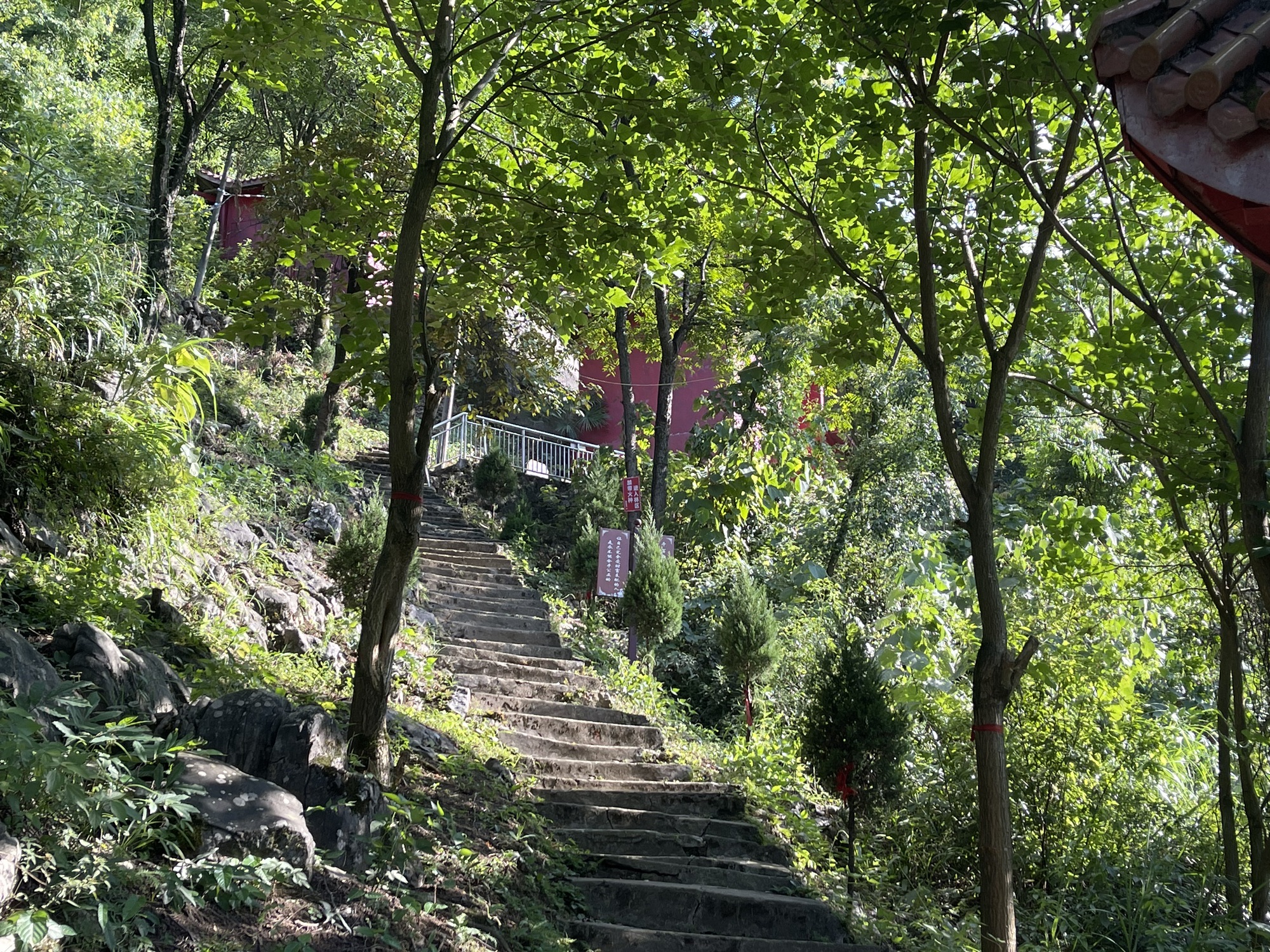 观音洞寺旅行图片 1