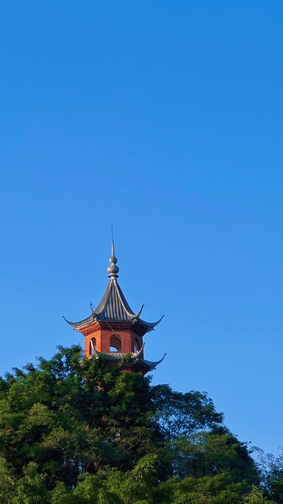 翠湖旅行图片 3