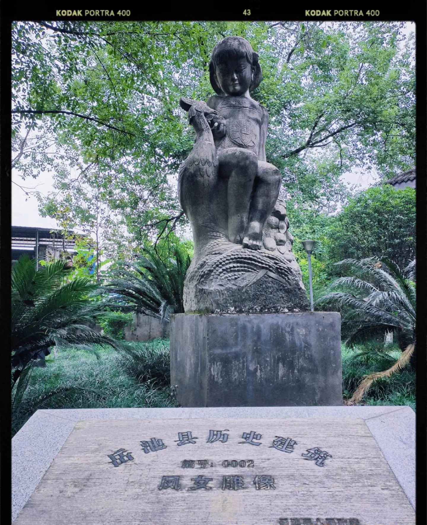 凤山公园旅行图片 2