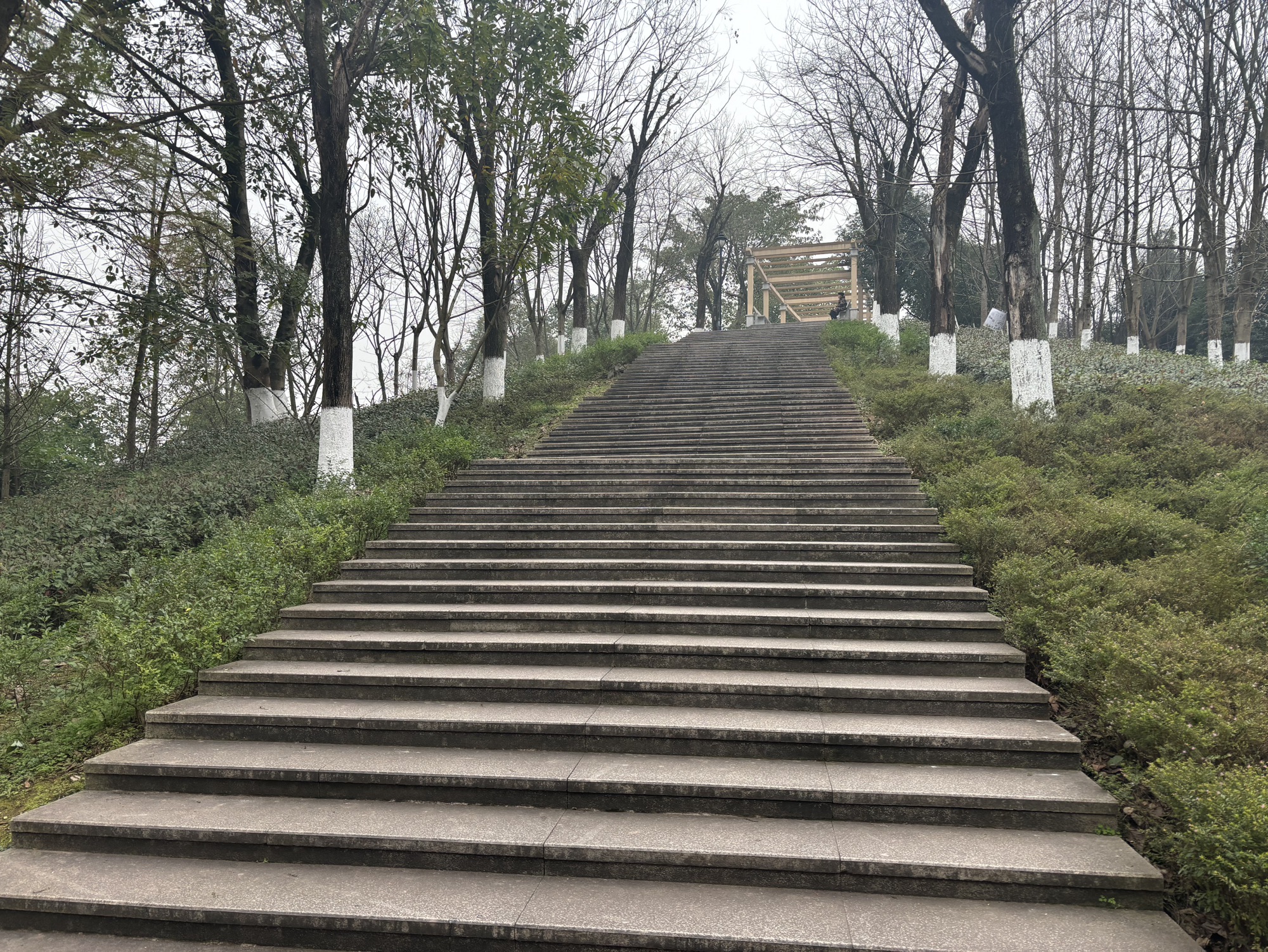 银鼎山景区旅行图片 3
