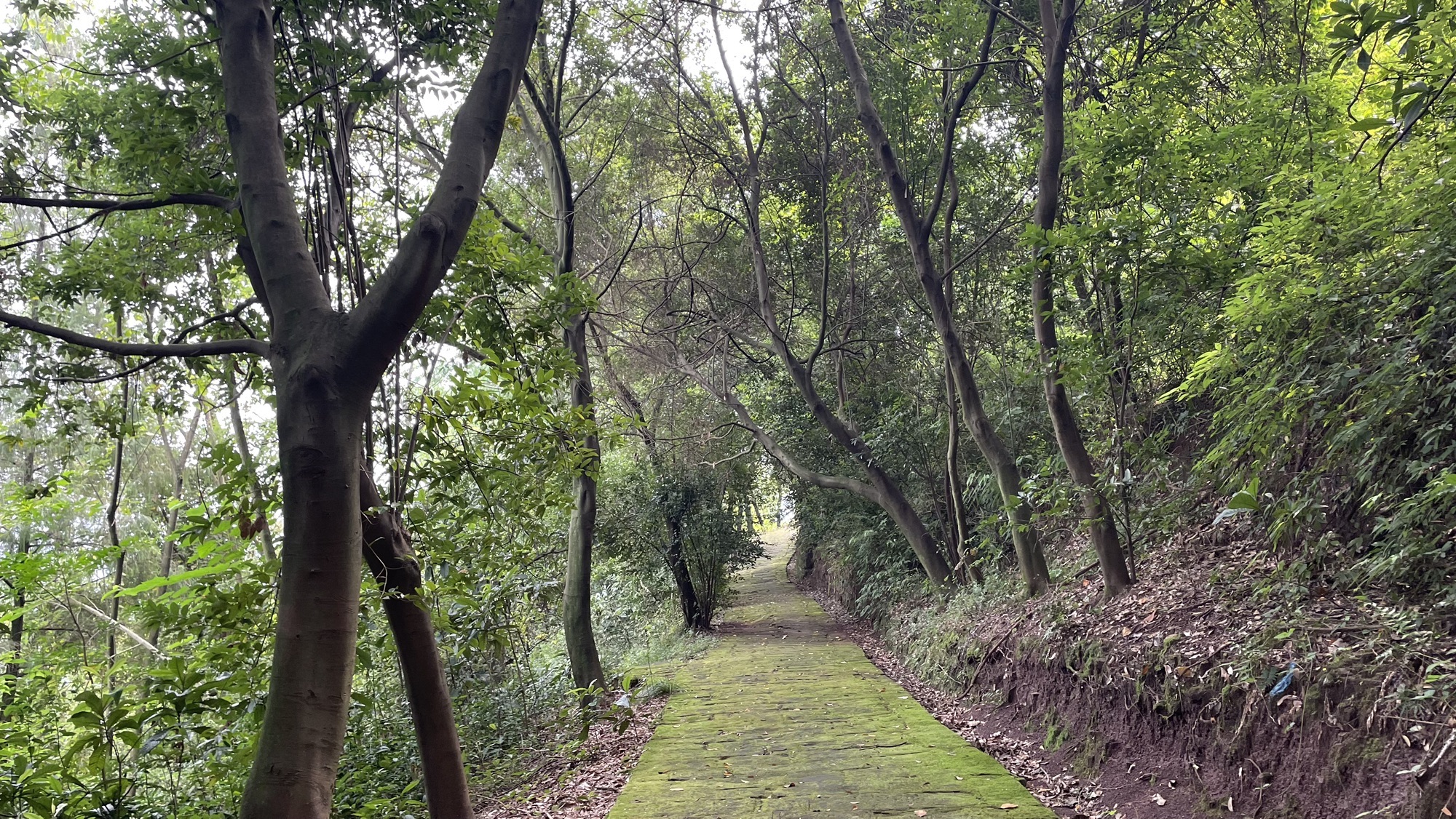 佛手山景区旅行图片 1