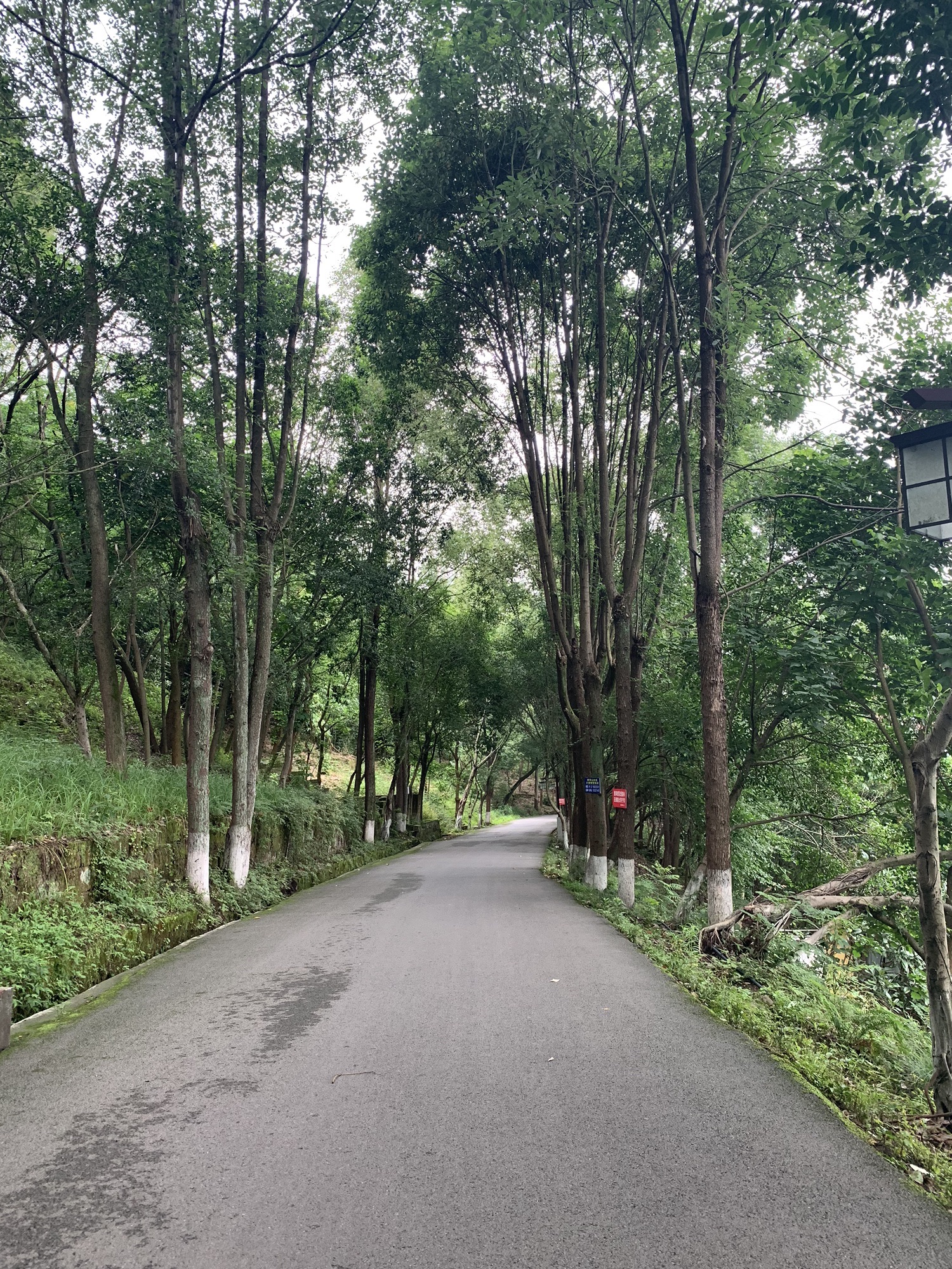 佛手山景区旅行图片 1