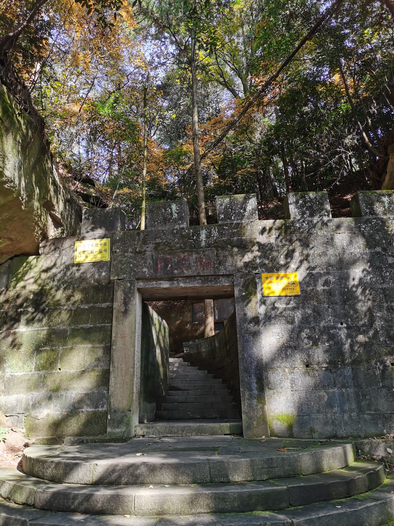 金城山森林公园(暂停开放)旅行图片 1