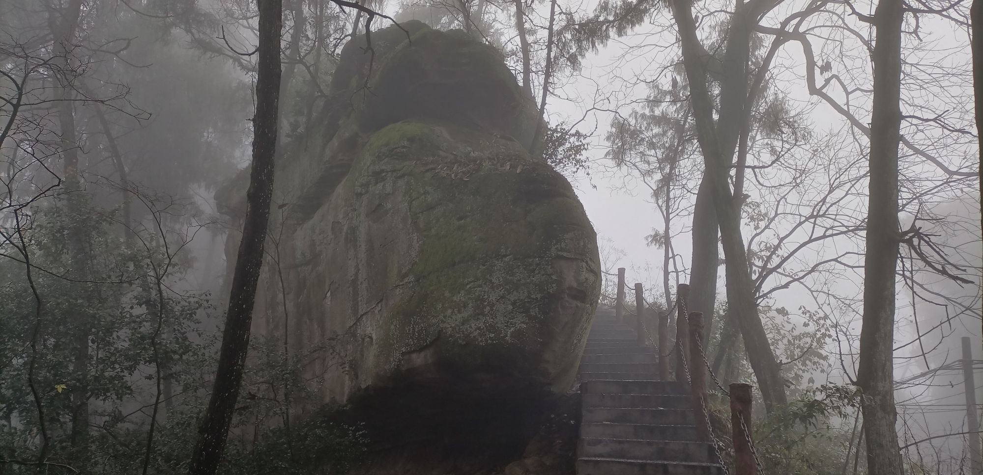 金城山森林公园(暂停开放)旅行图片 3