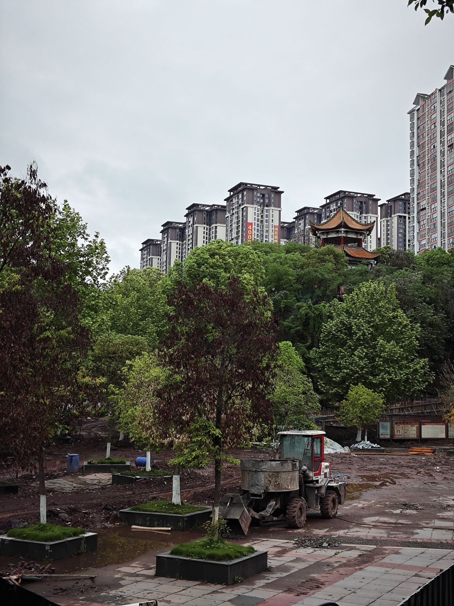 北辰湖公园旅行图片 3