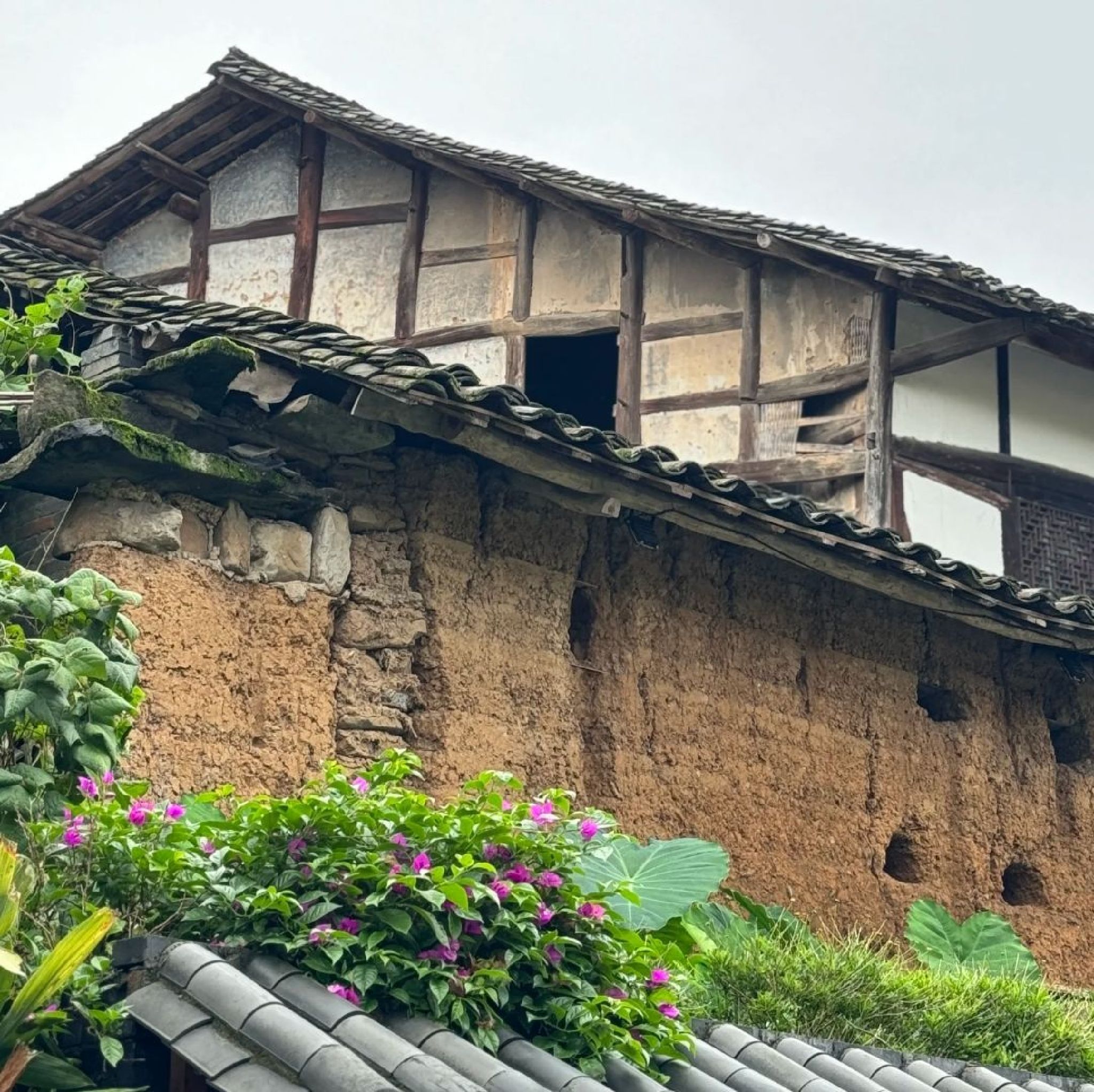恩阳古镇旅行图片 3