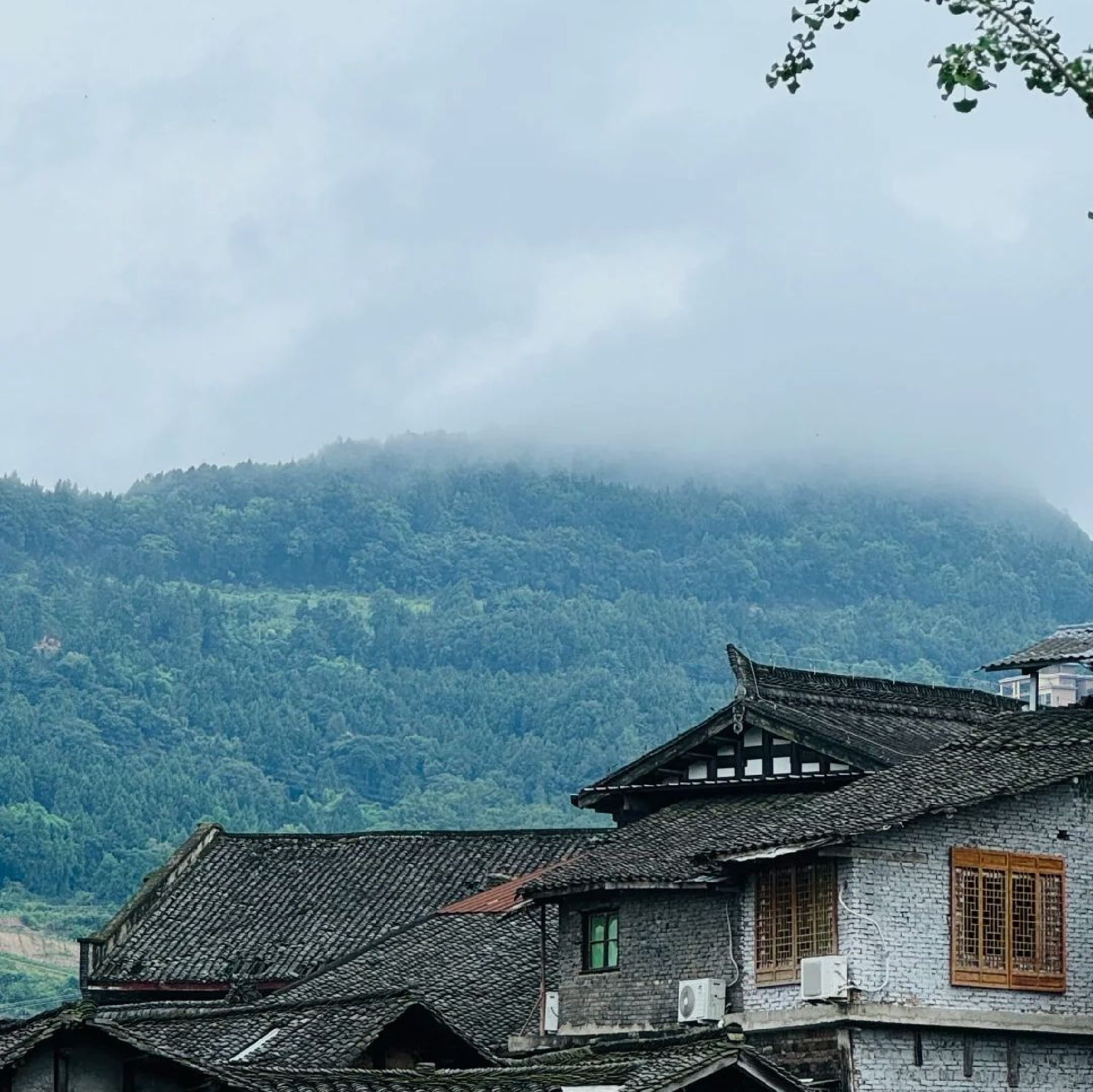 恩阳古镇旅行图片 1