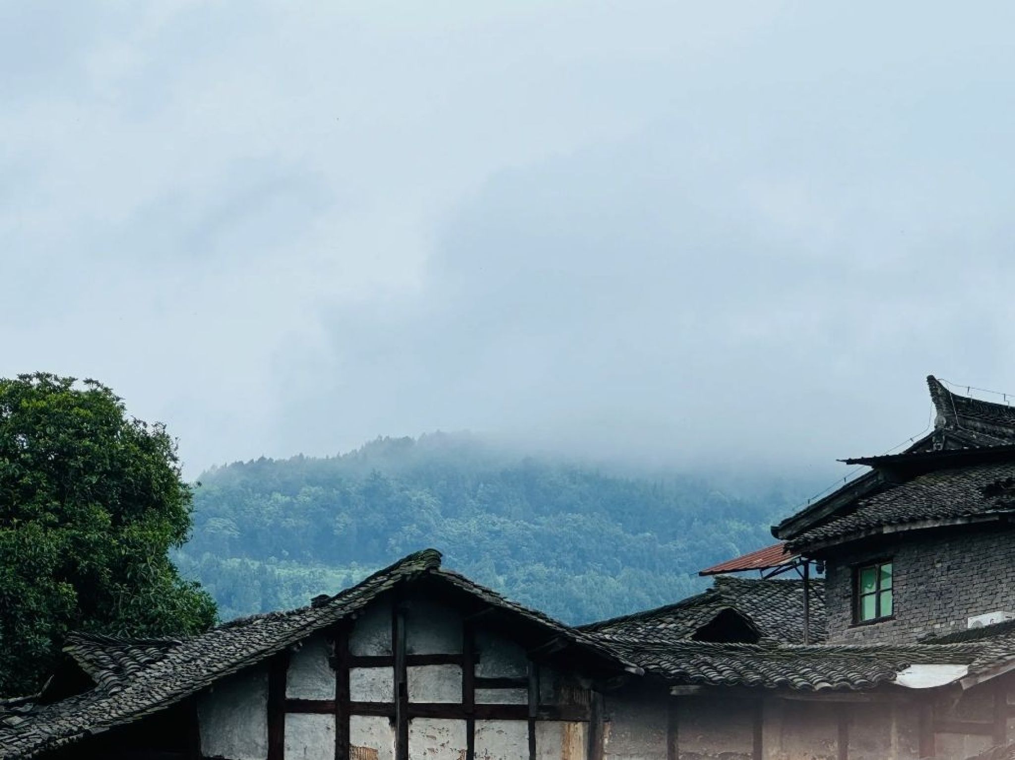 恩阳古镇旅行图片 2