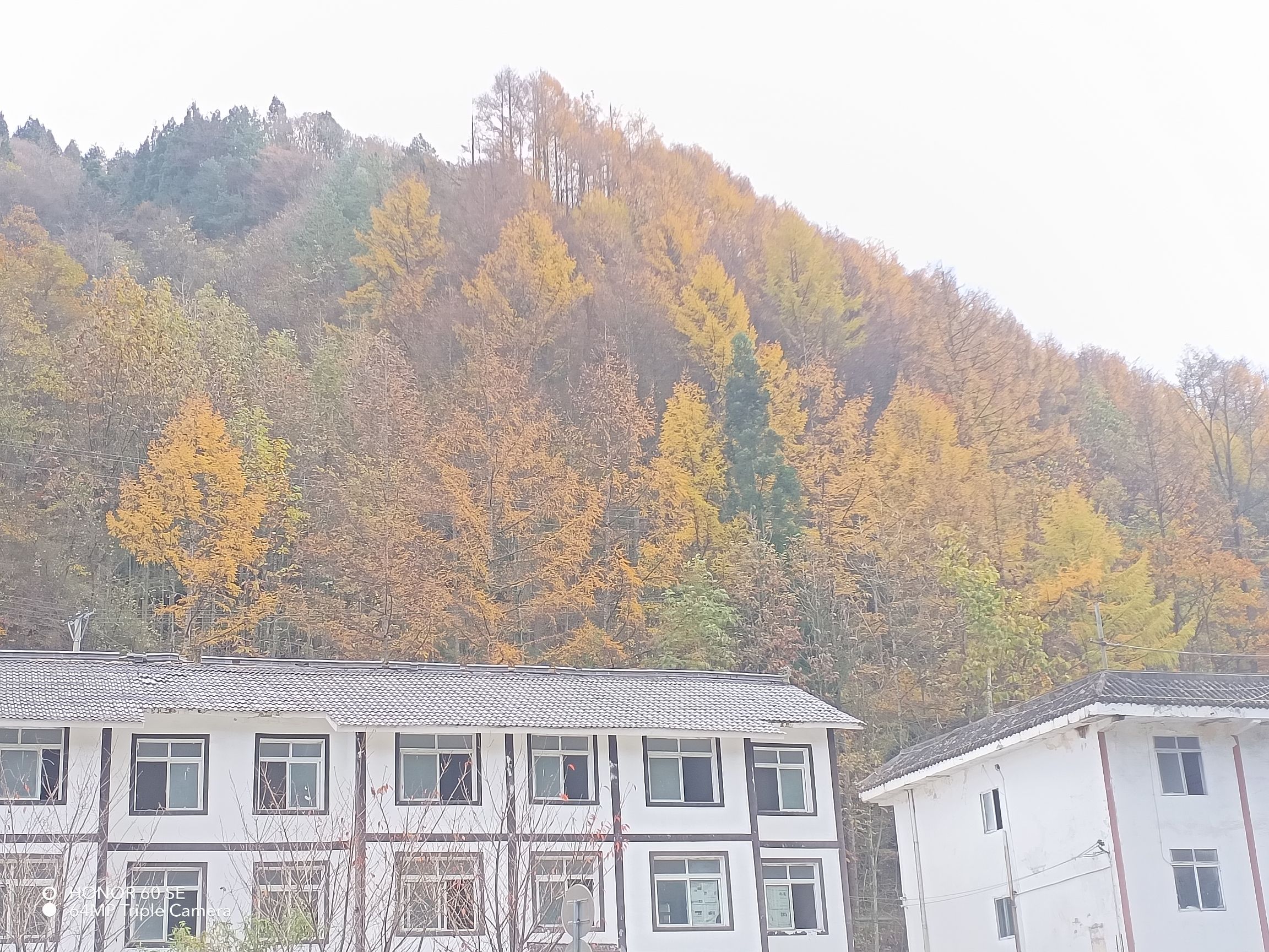 光雾山旅游景区旅行图片 1