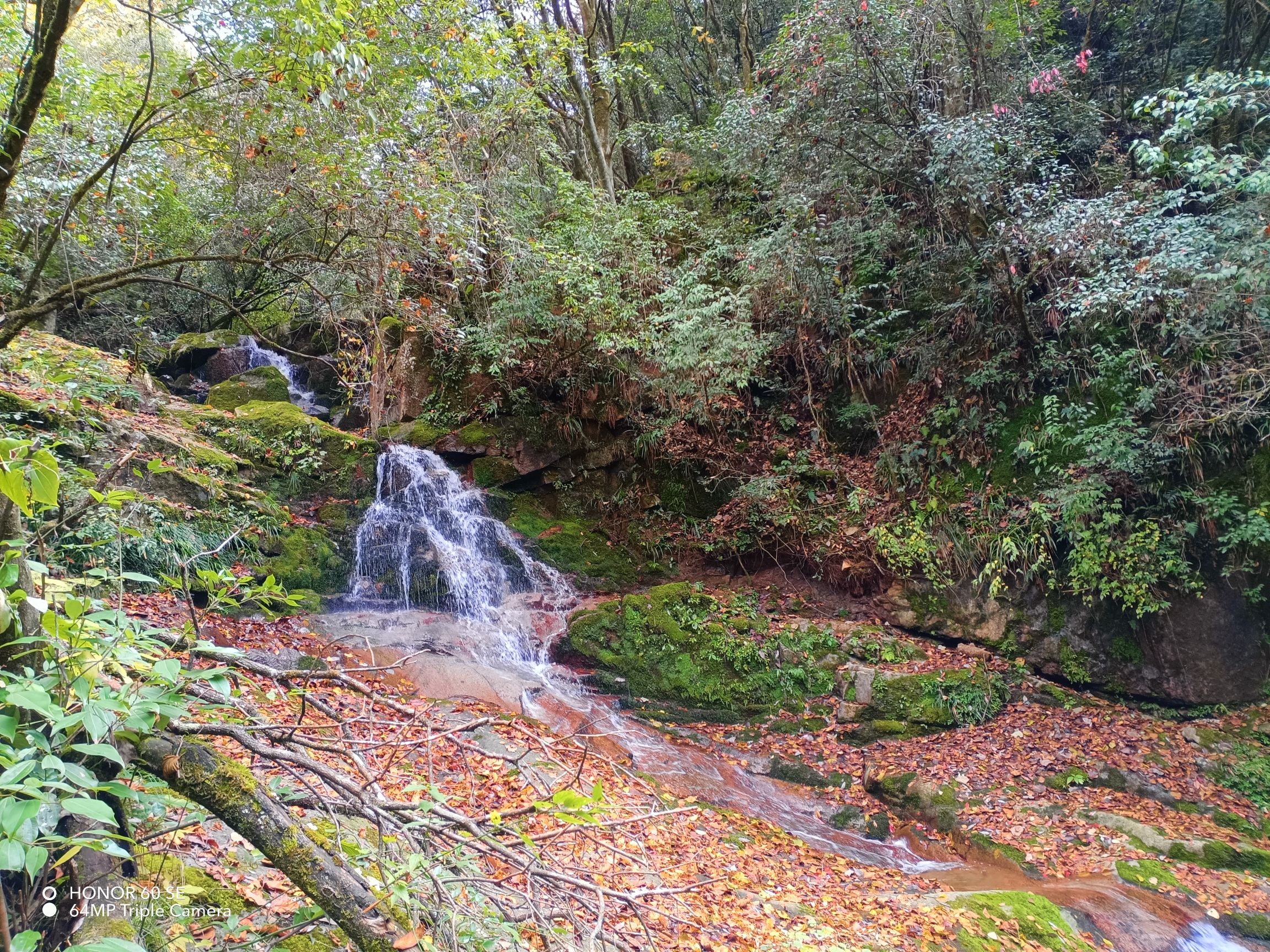 光雾山旅游景区旅行图片 3
