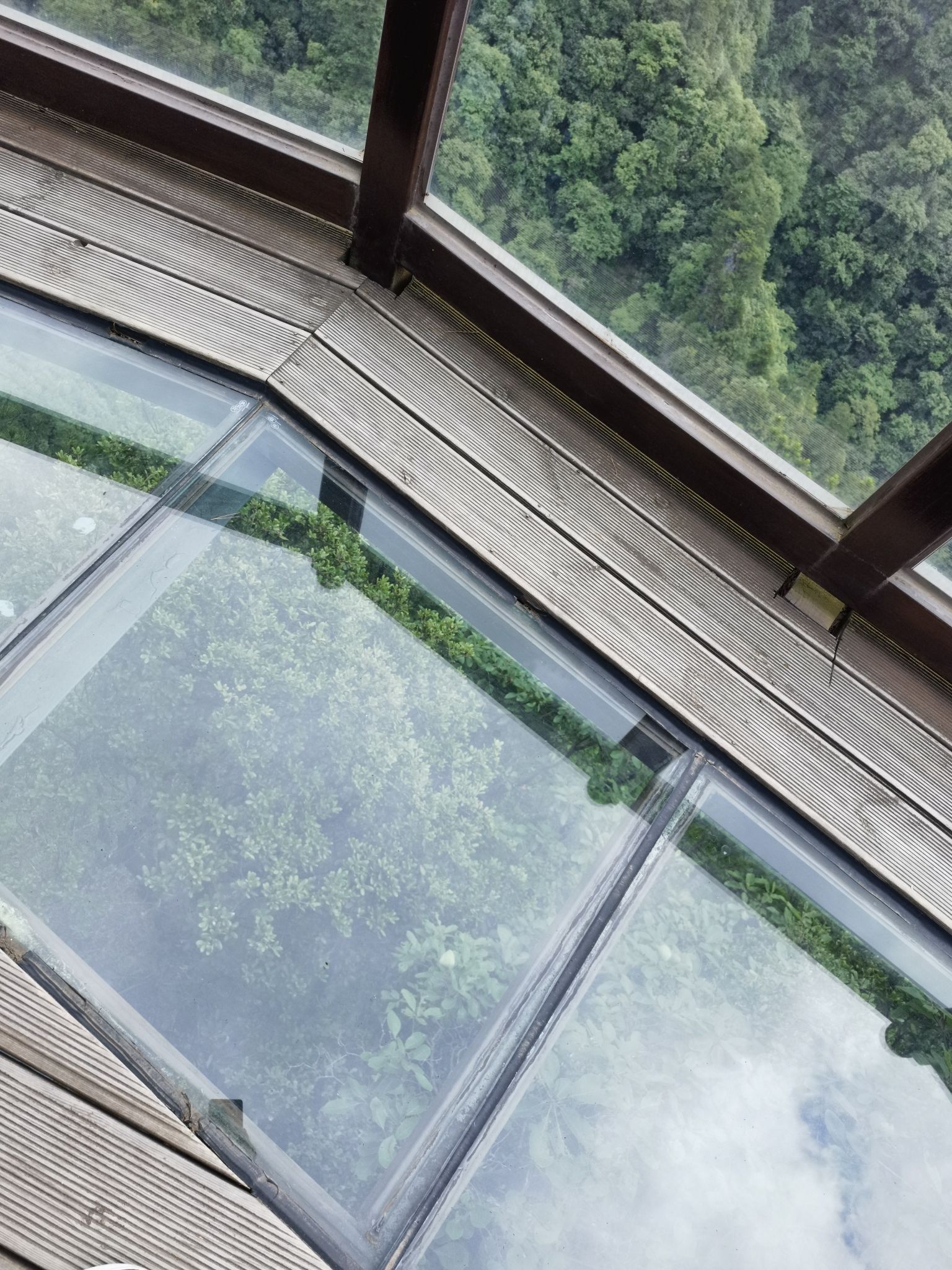 光雾山旅游景区旅行图片 3