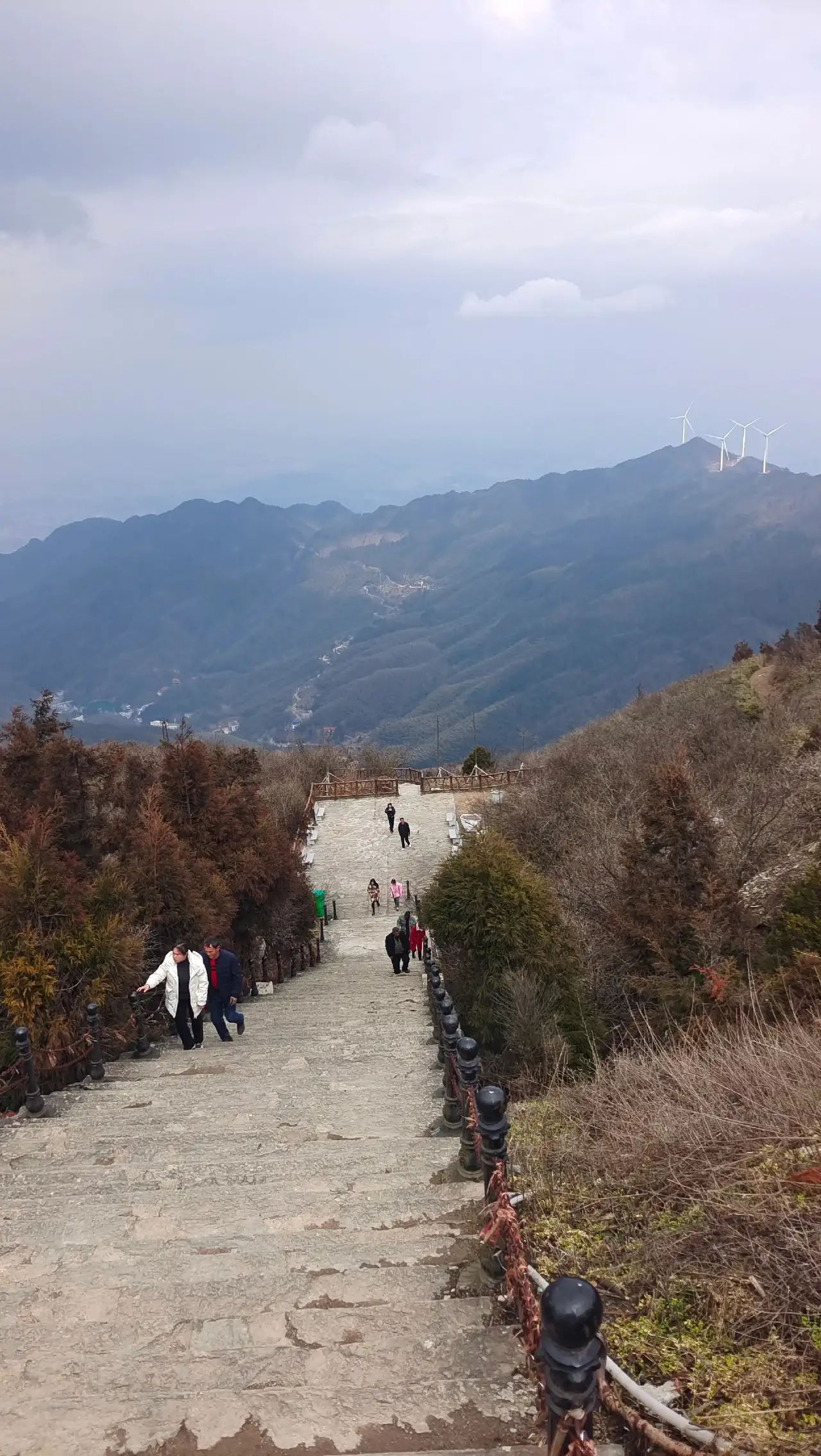 镇龙山国家森林公园旅行图片 1