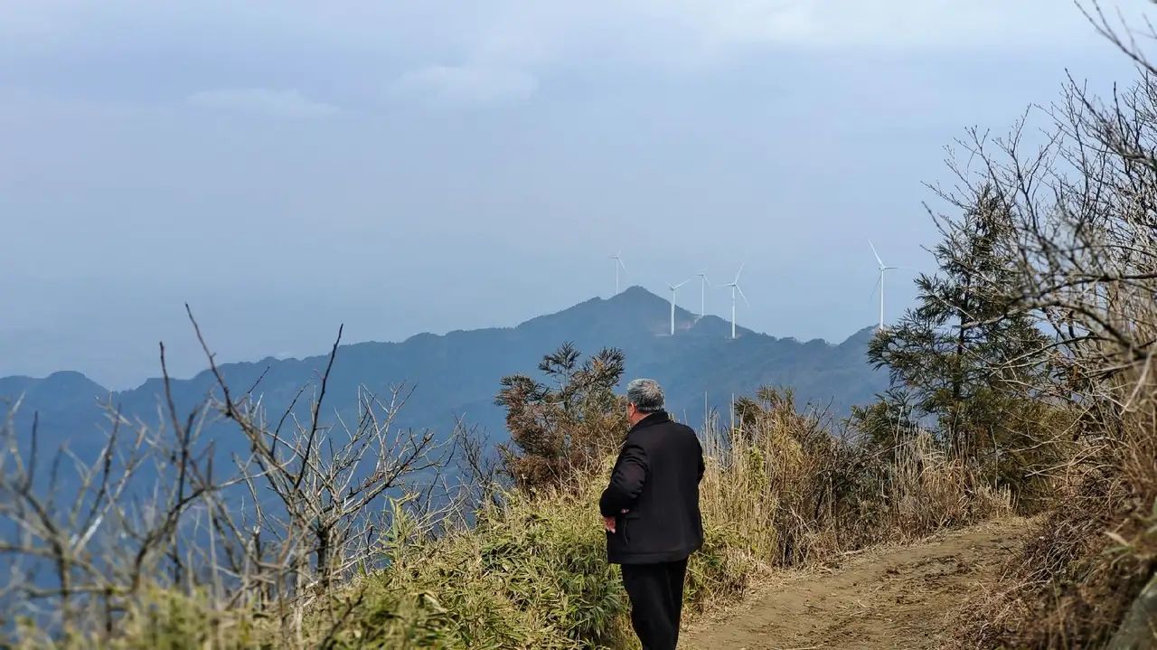 镇龙山国家森林公园旅行图片 2