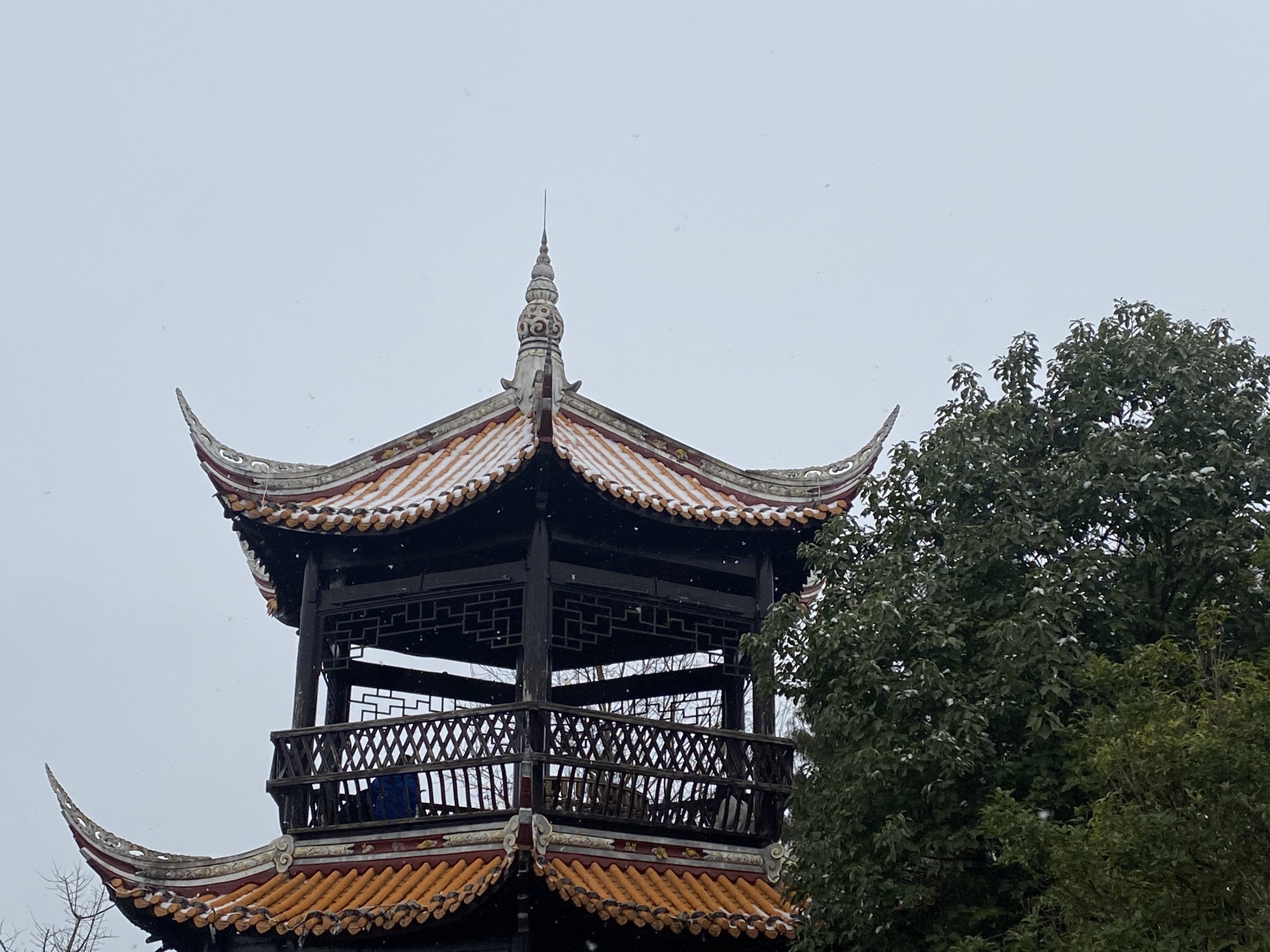 镇龙山国家森林公园旅行图片 2