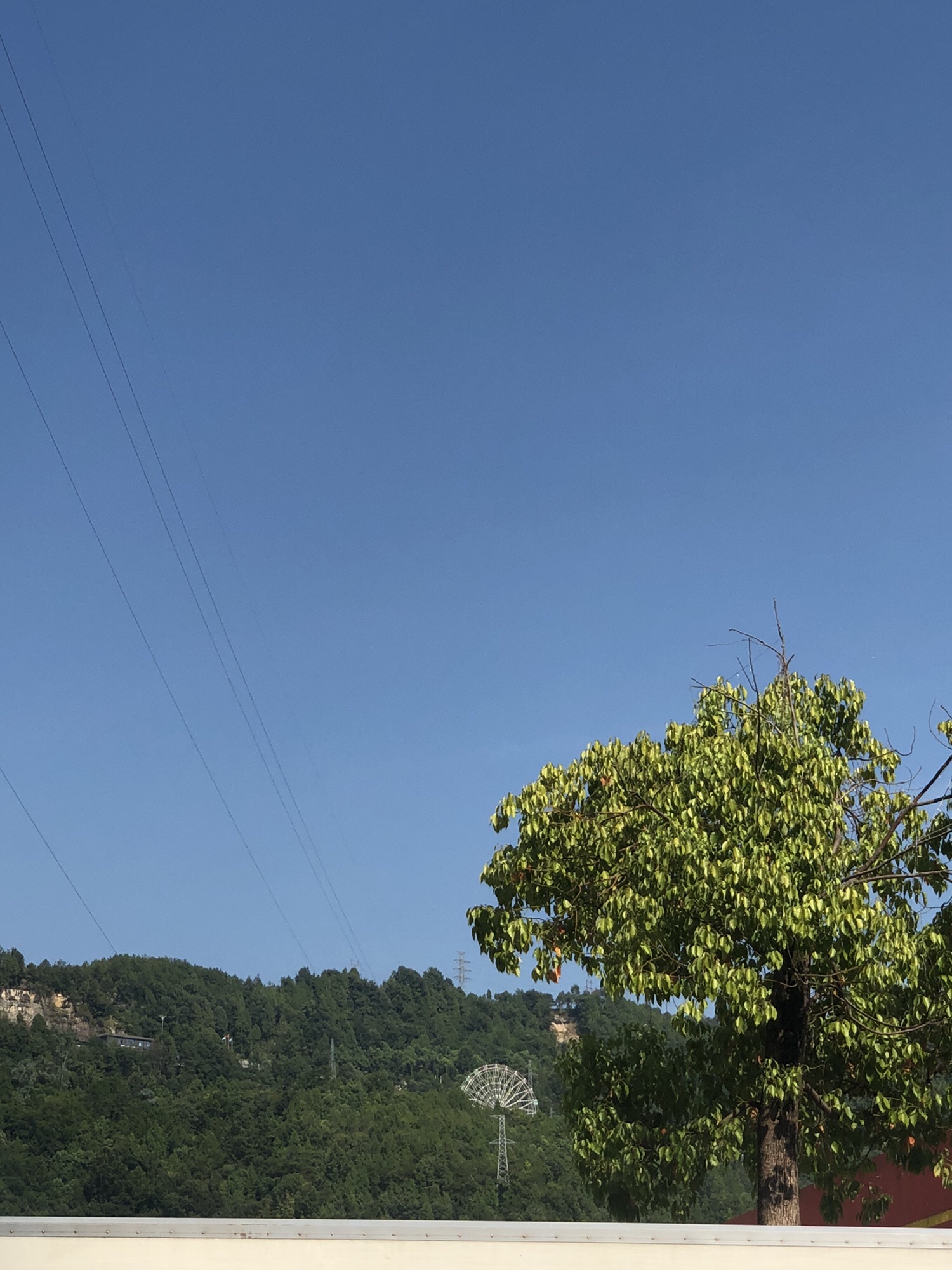 镇龙山国家森林公园旅行图片 2