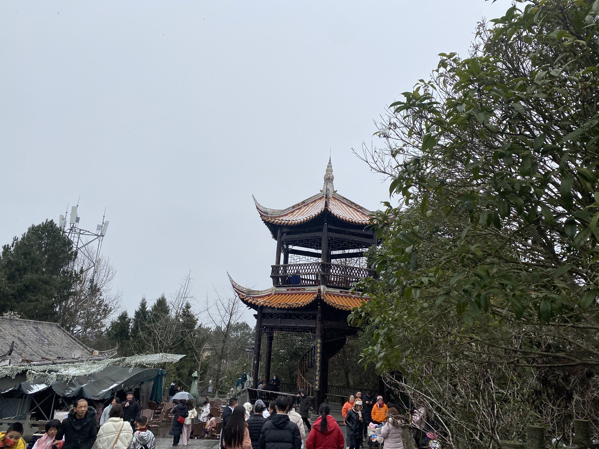 镇龙山国家森林公园旅行图片 1