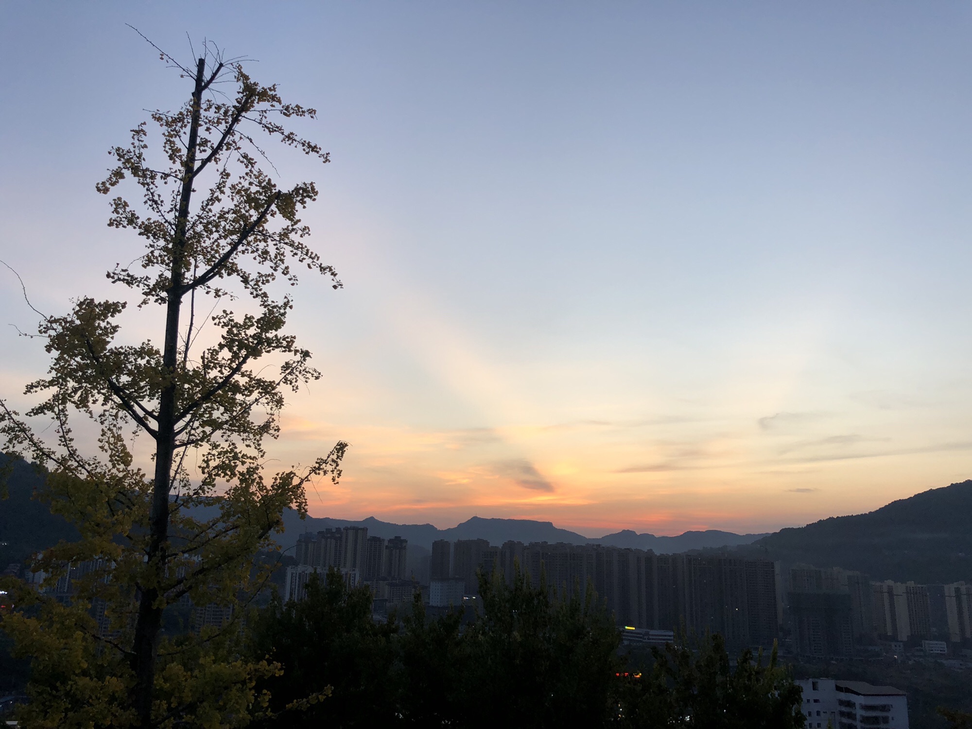 镇龙山国家森林公园旅行图片 1