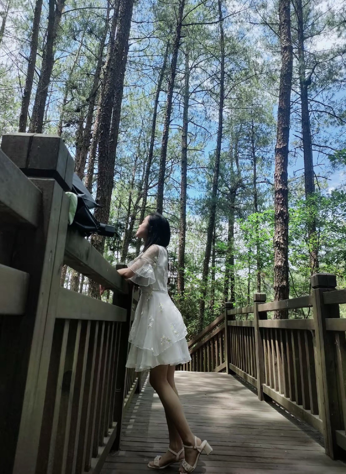 天马山国家森林公园旅行图片 3