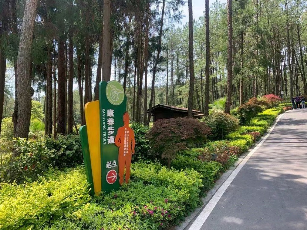 天马山国家森林公园旅行图片 1