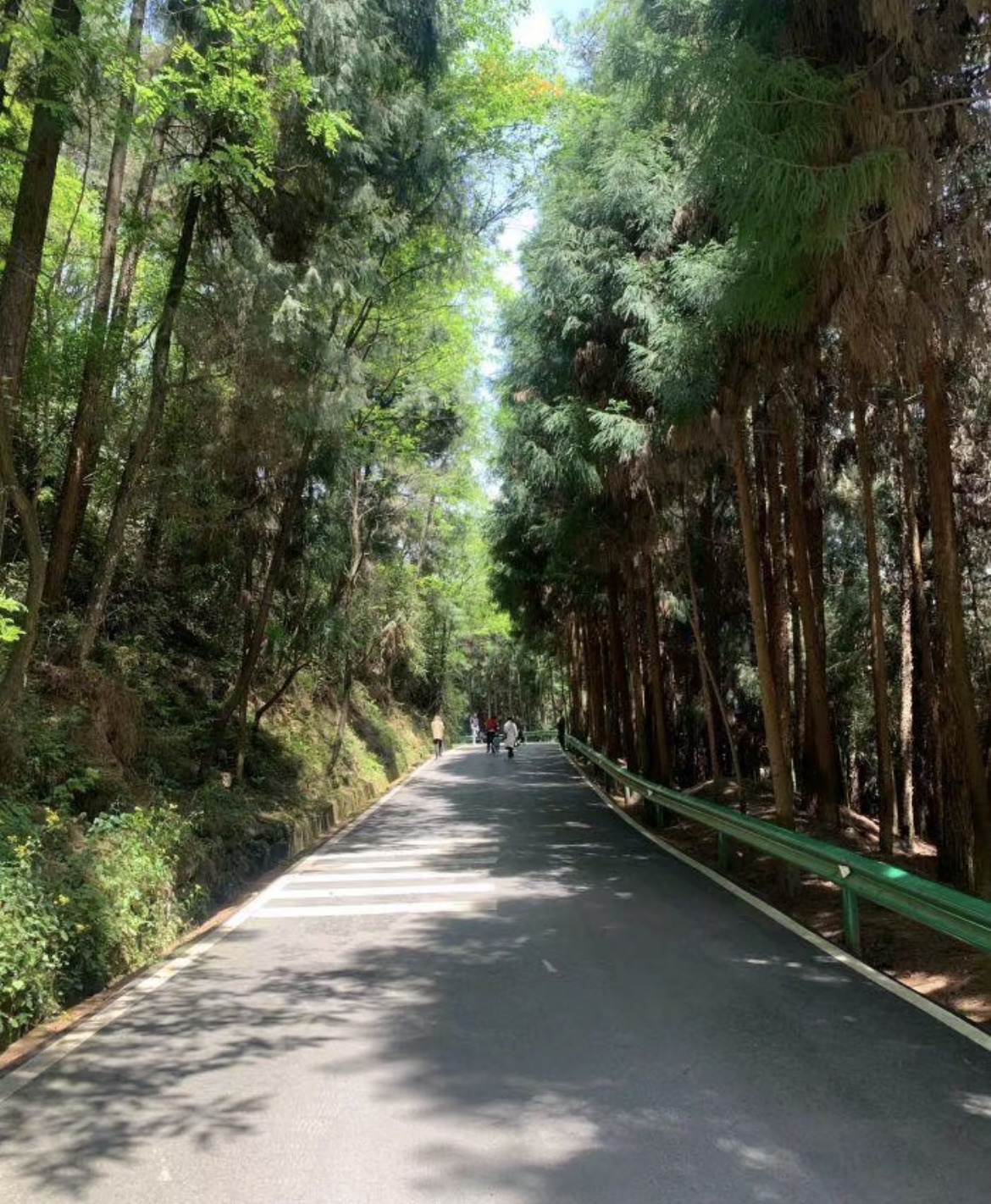天马山国家森林公园旅行图片 3
