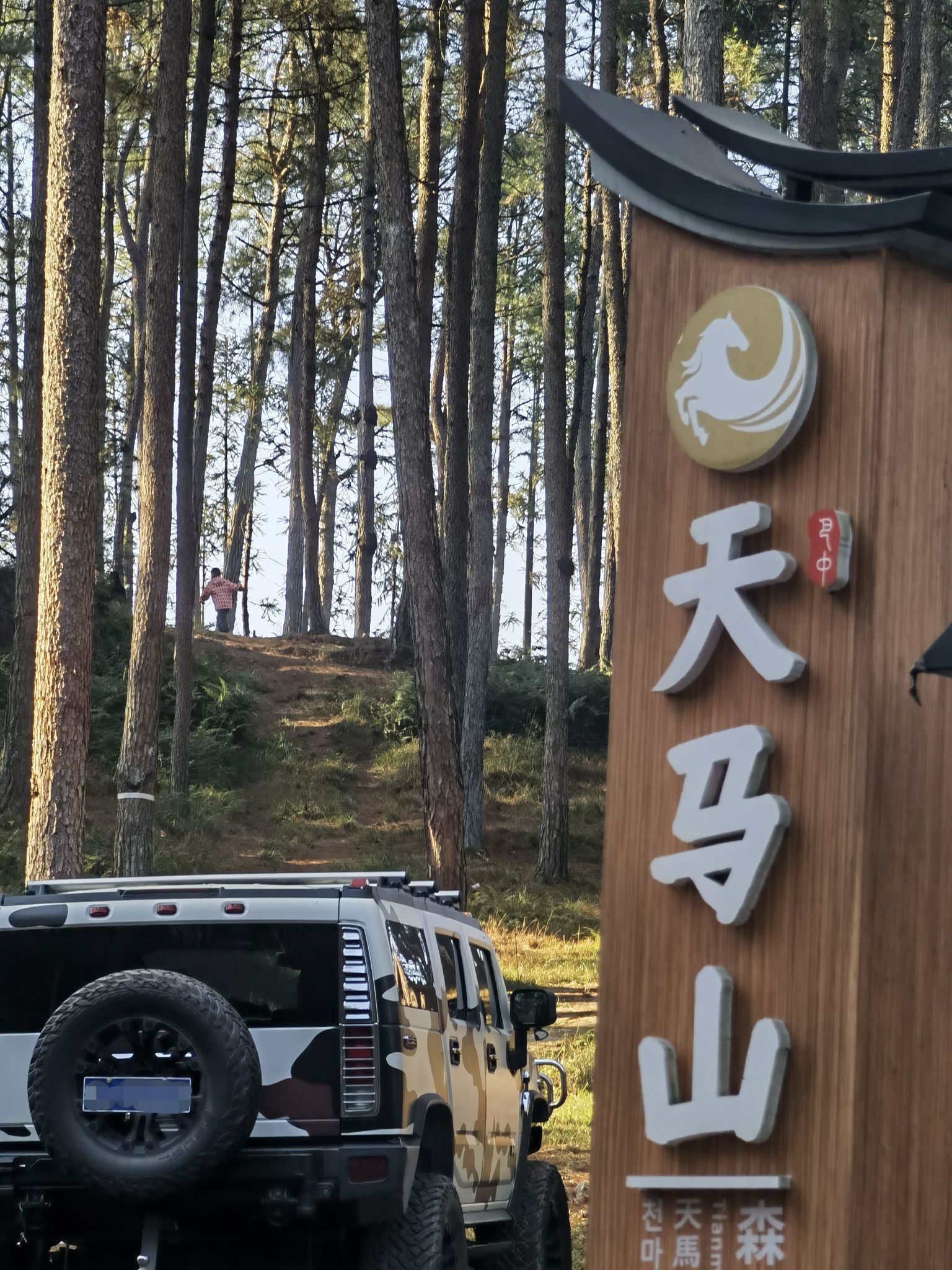 天马山国家森林公园旅行图片 1