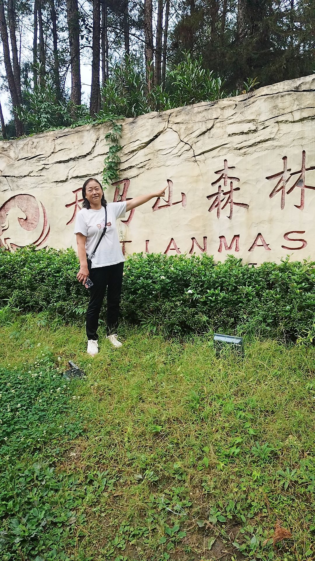 天马山国家森林公园旅行图片 1