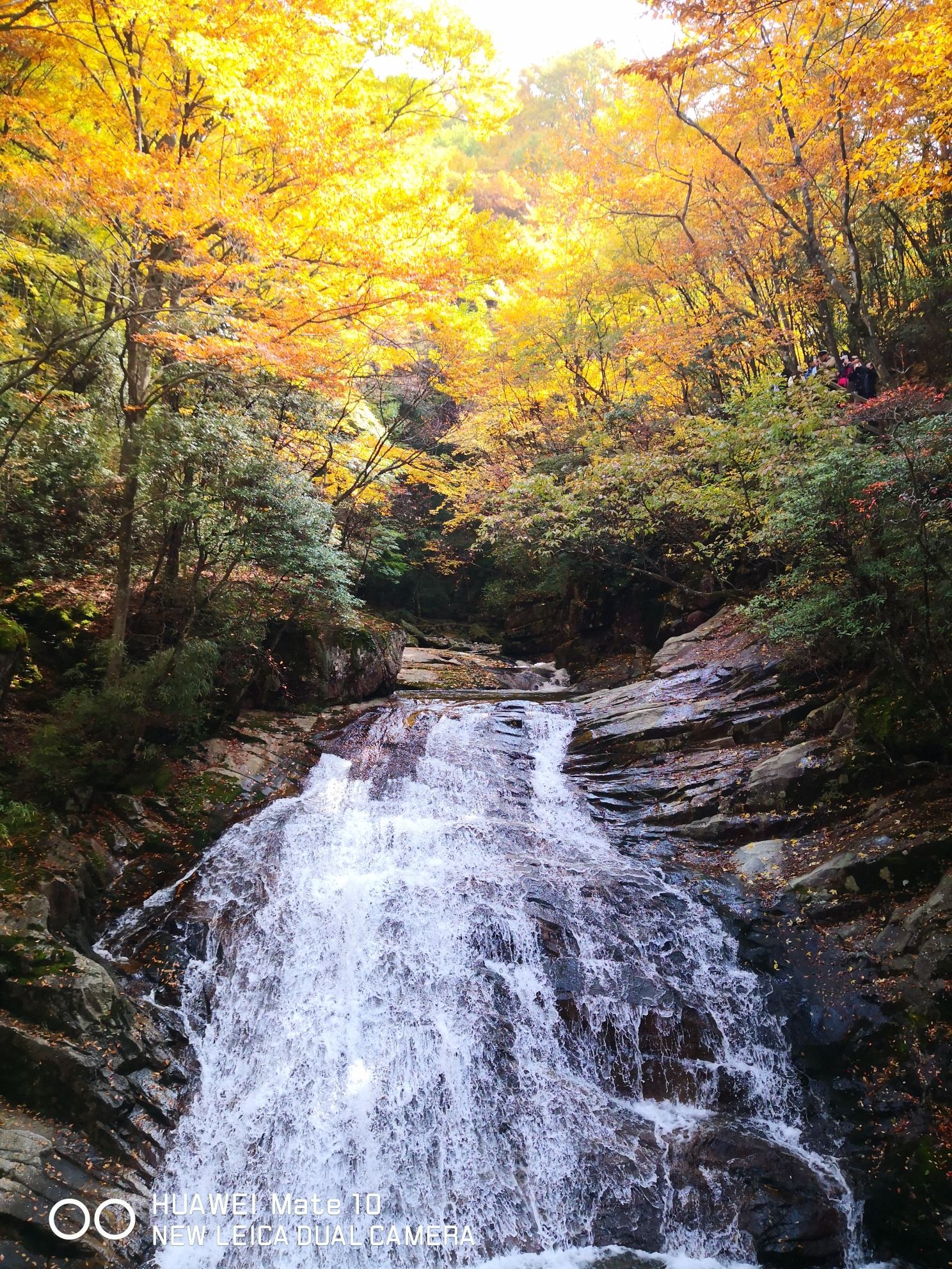 米仓山国家森林公园(光雾山风景区)旅行图片 1