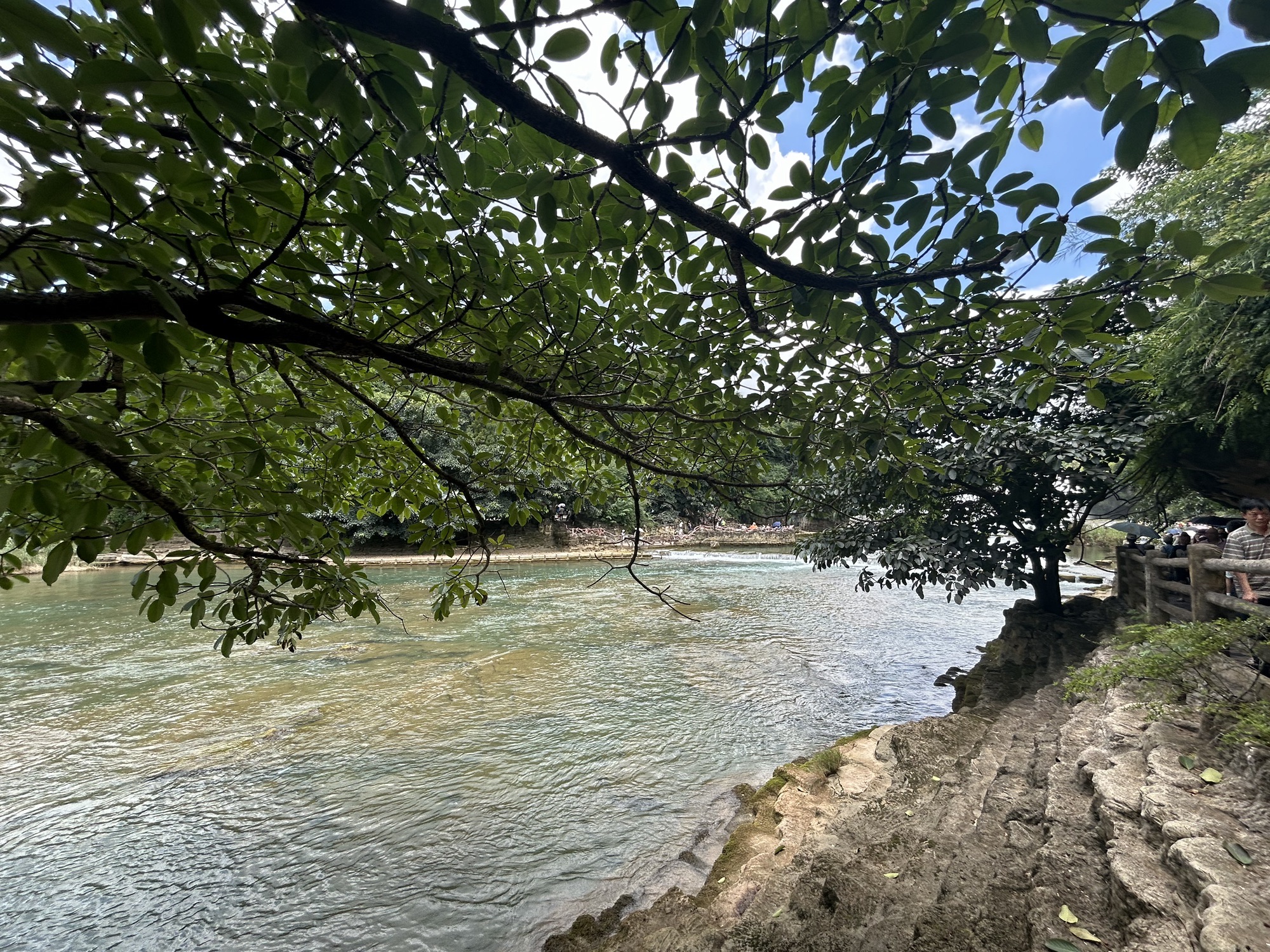 米仓山国家森林公园(光雾山风景区)旅行图片 1