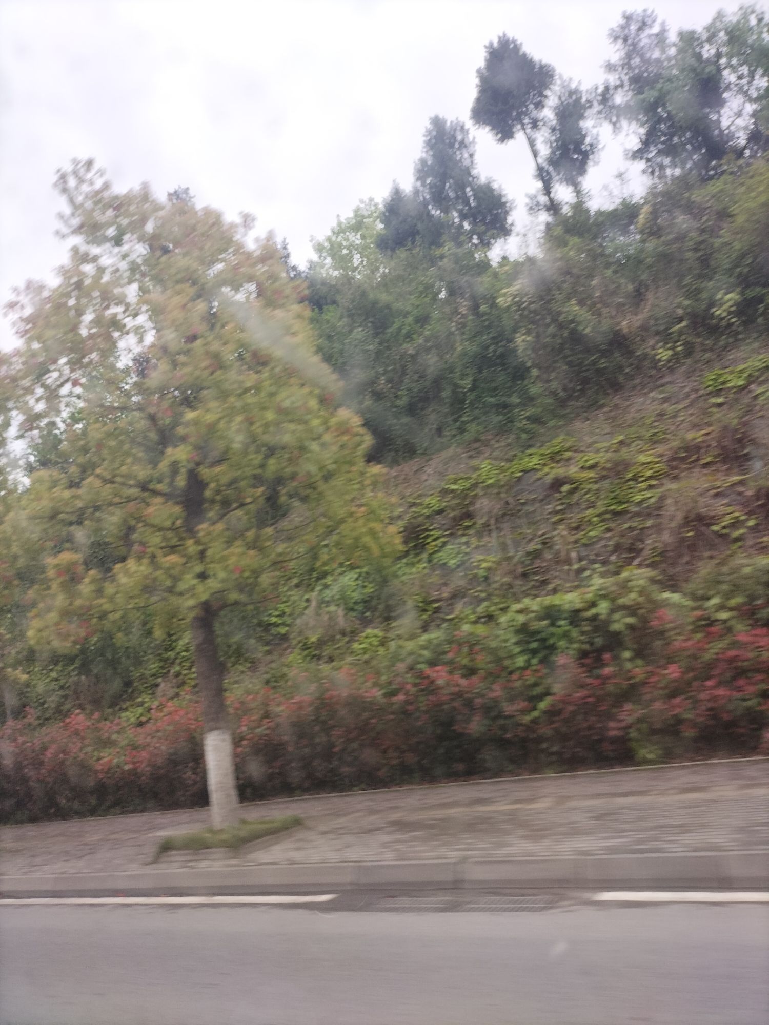 章怀山旅游区旅行图片 2