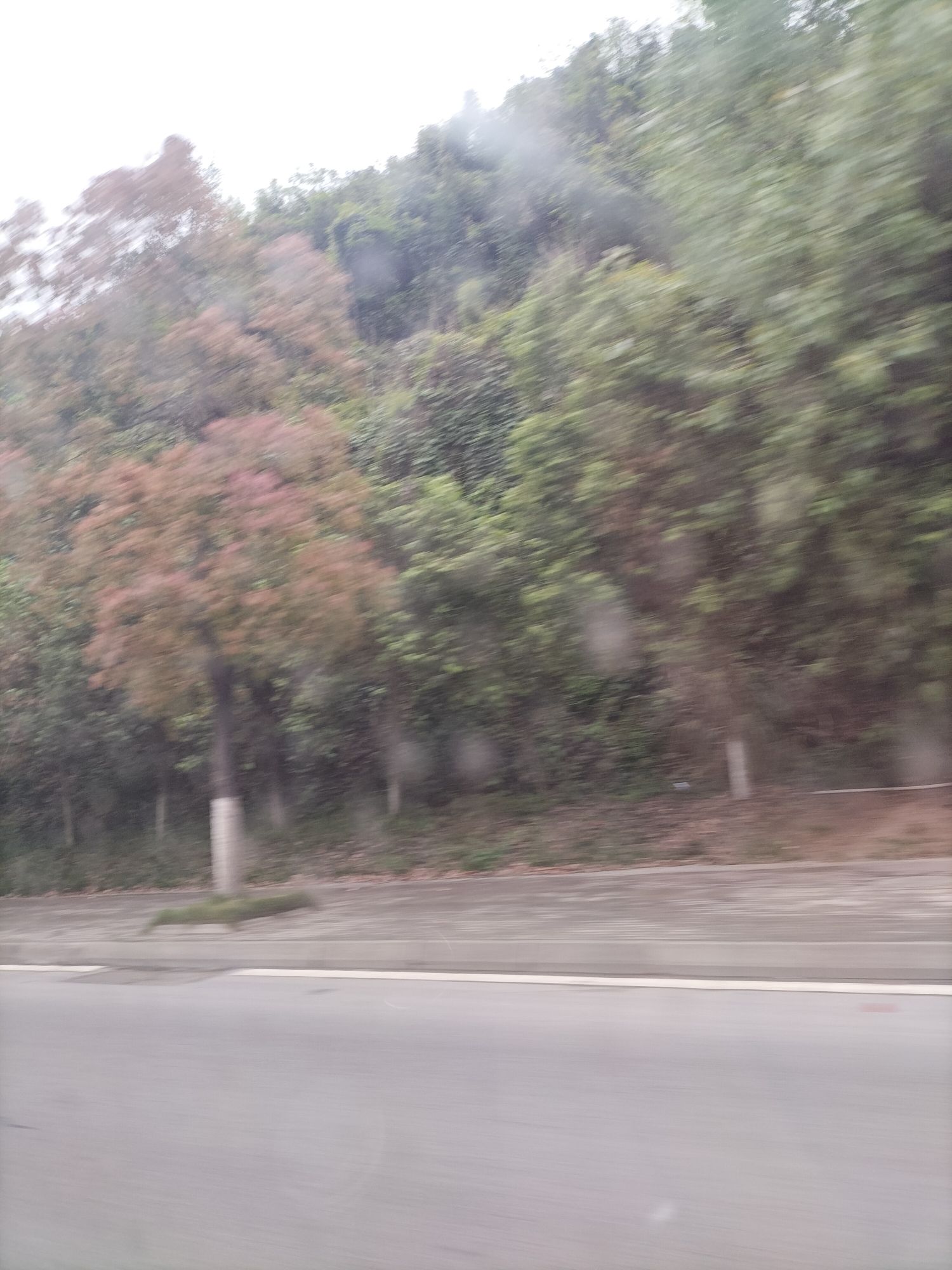 章怀山旅游区旅行图片 1