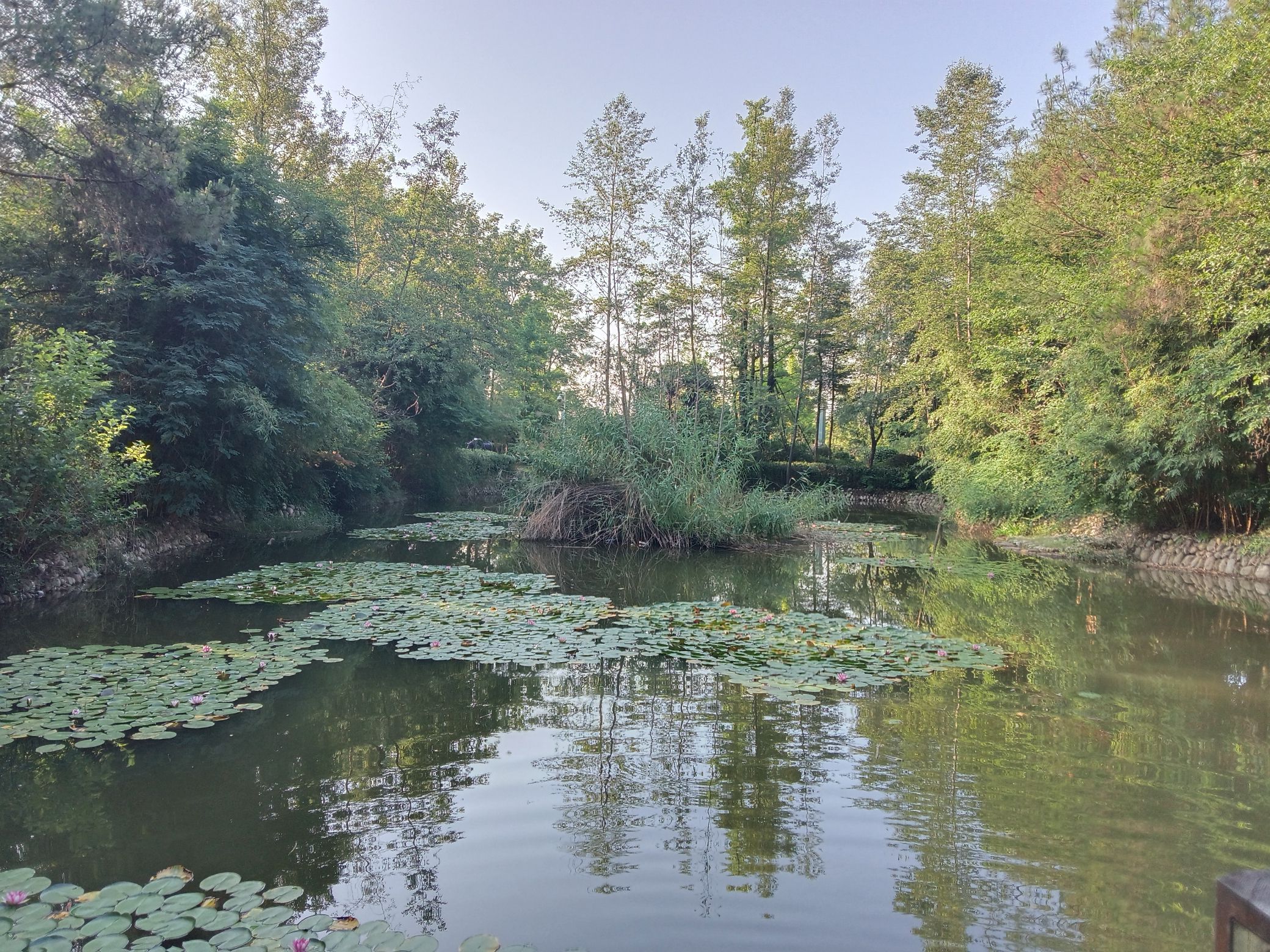 望王山旅行图片 2
