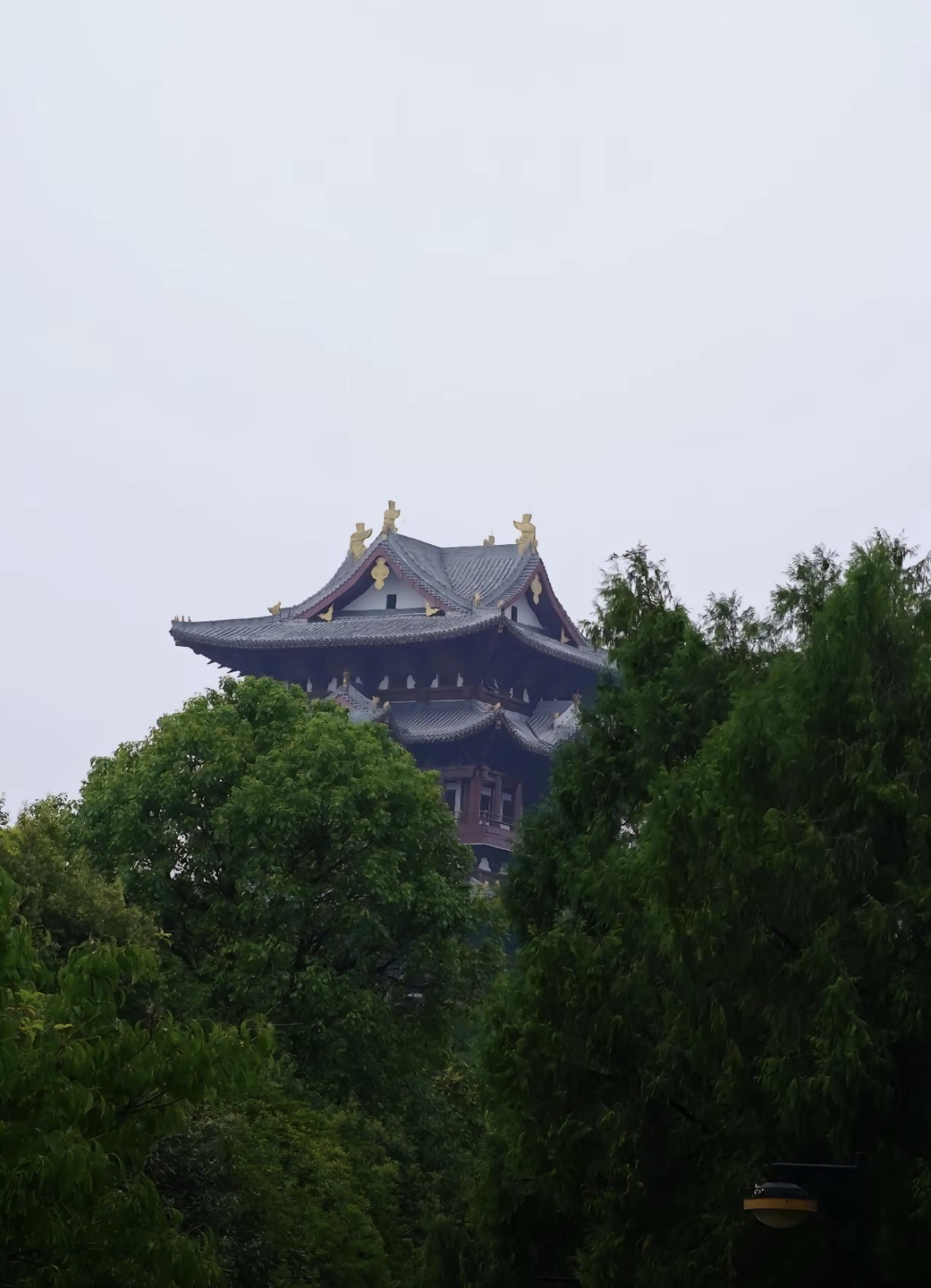 望王山旅行图片 3