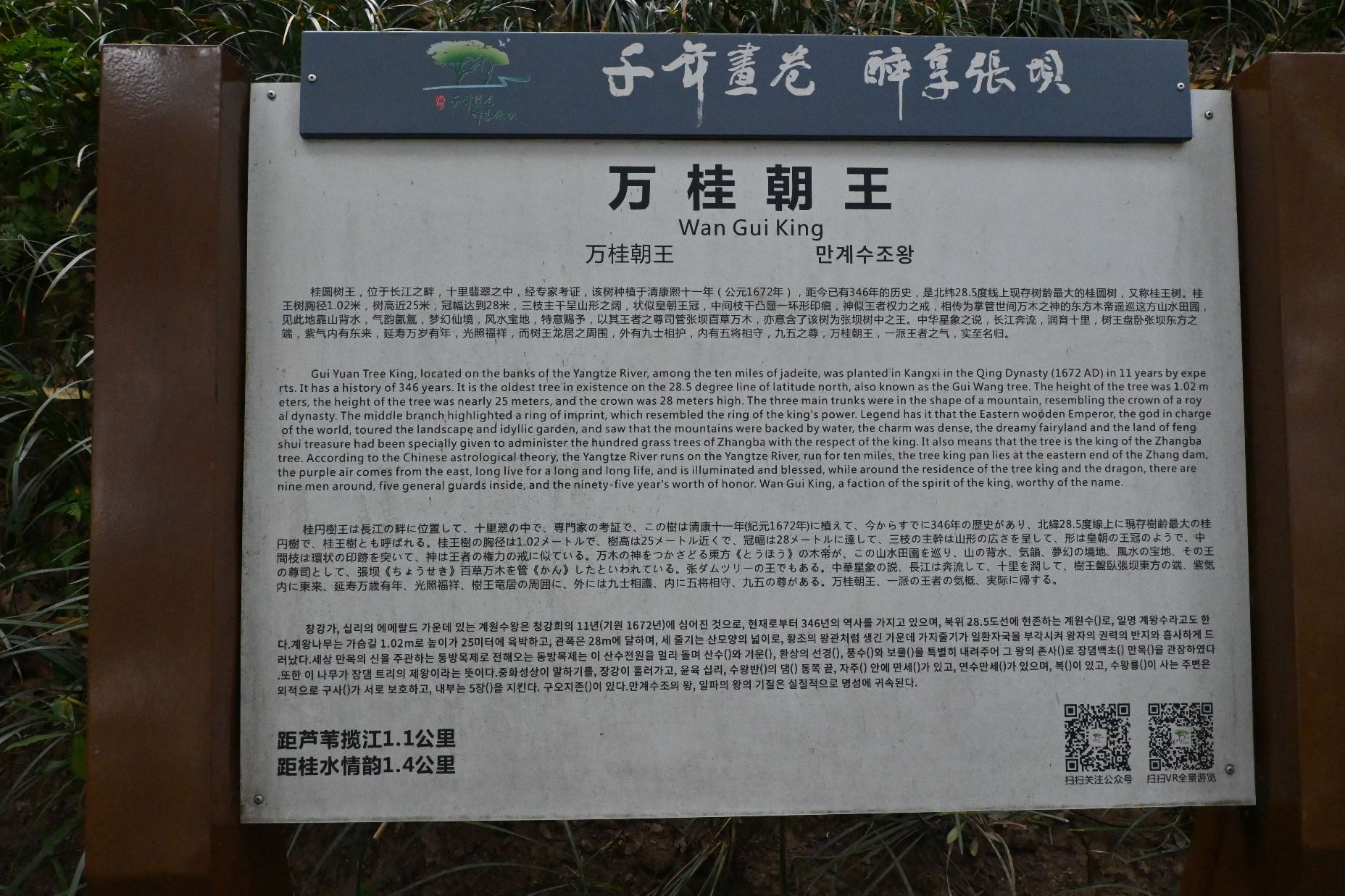 张坝桂圆林公园旅行图片 2