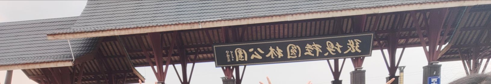 张坝桂圆林公园旅行图片 1