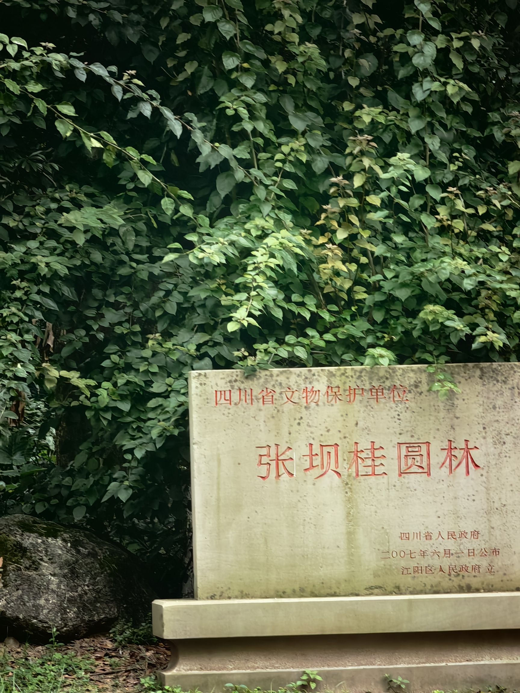 张坝桂圆林公园