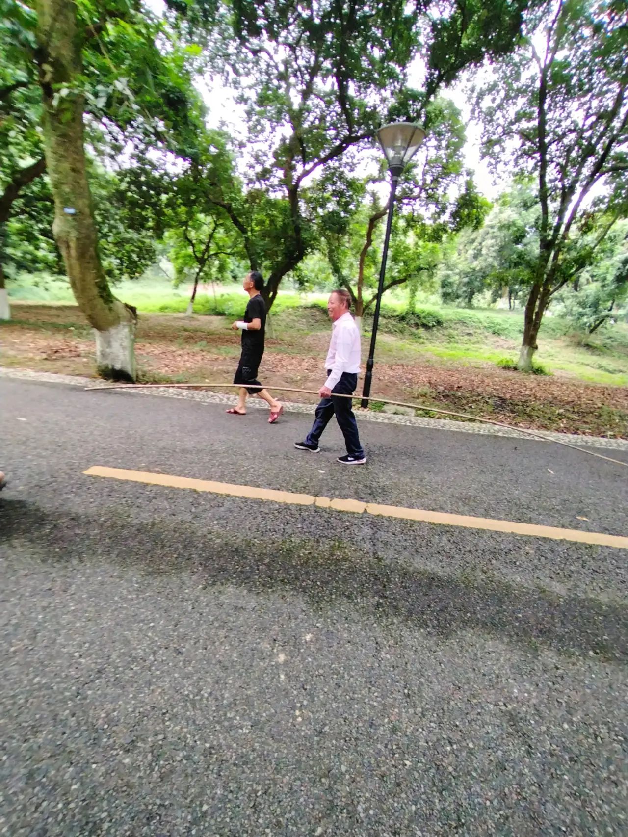 张坝桂圆林公园旅行图片 3