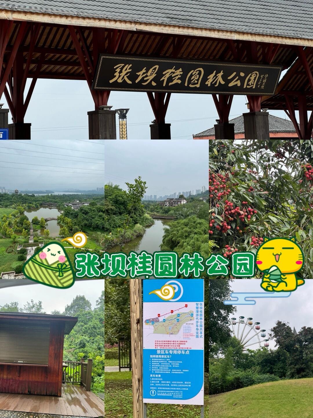 张坝桂圆林公园旅行图片 1