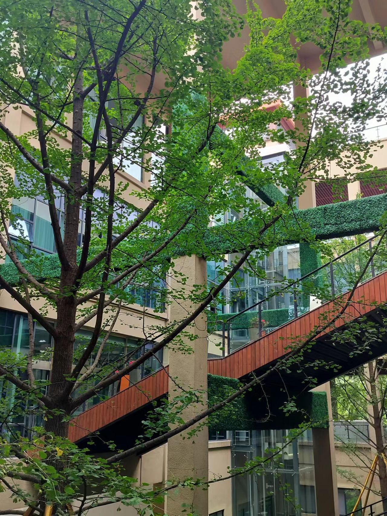 张坝桂圆林公园旅行图片 3