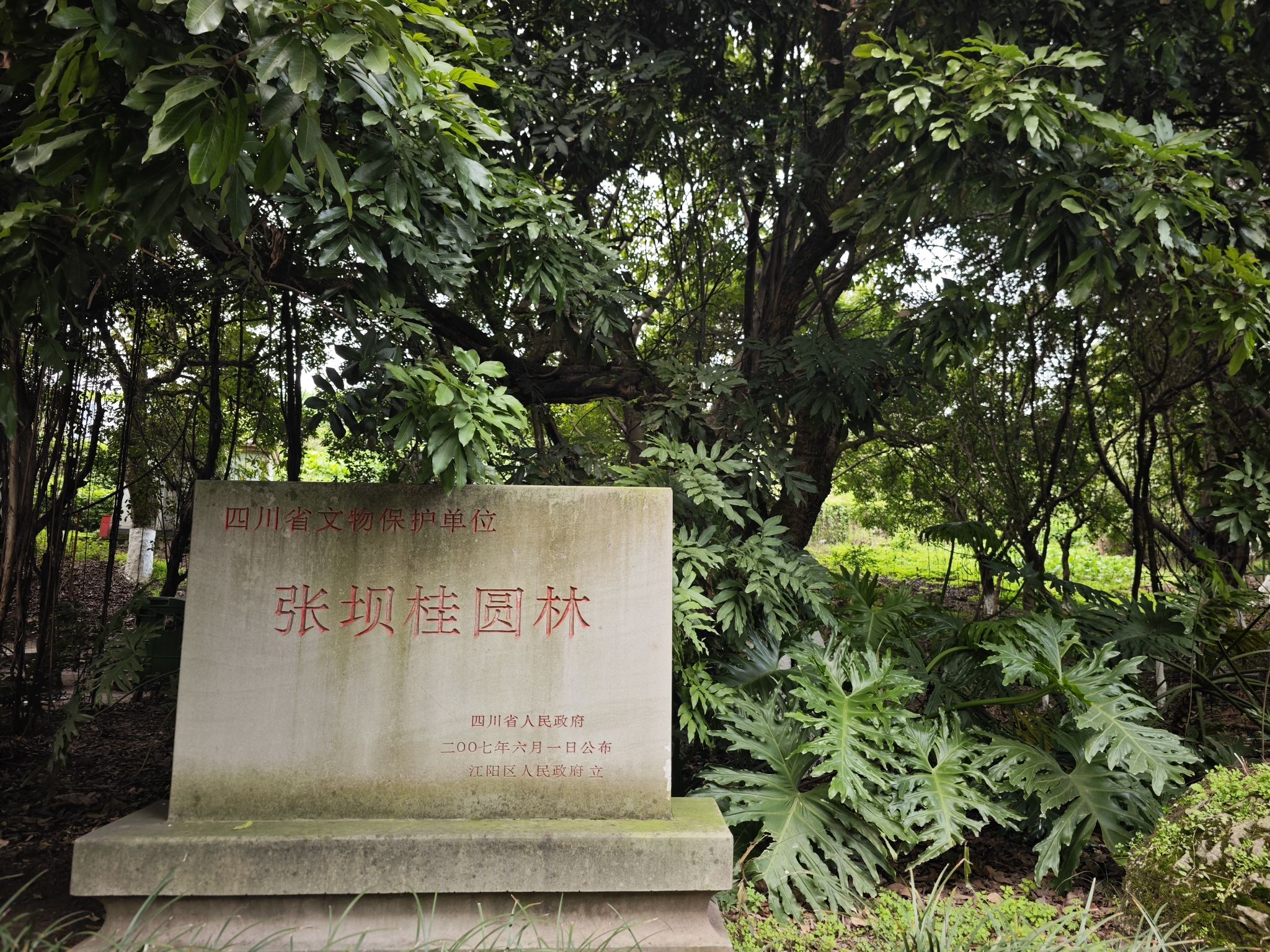 张坝桂圆林公园