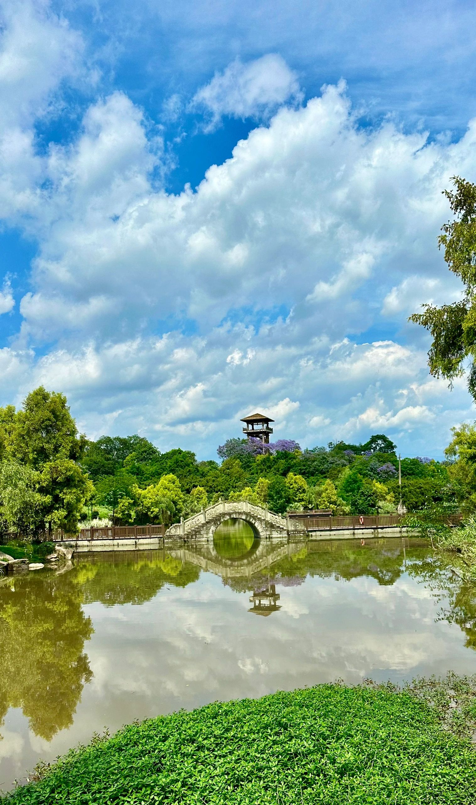 张坝桂圆林公园旅行图片 2