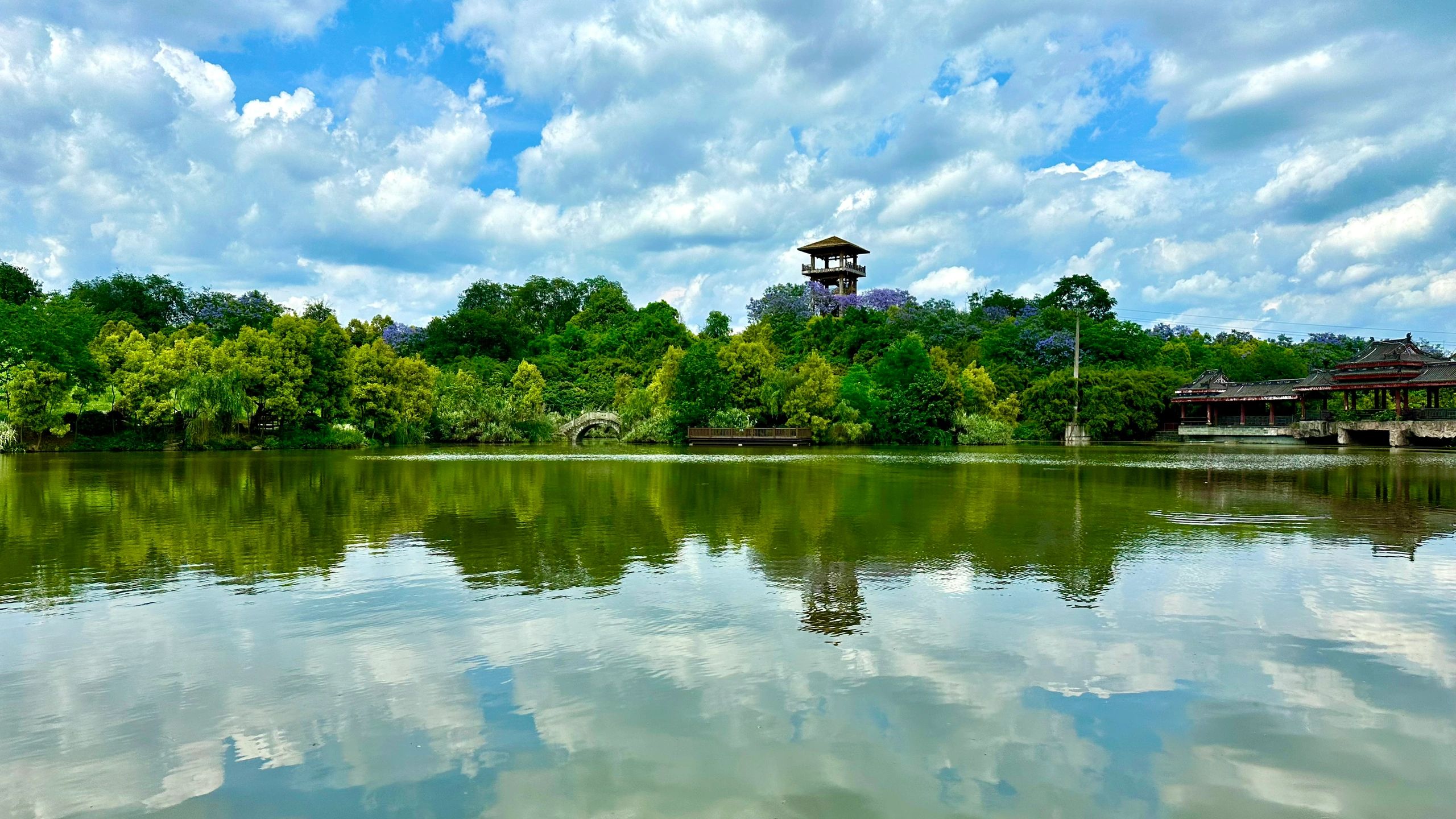 张坝桂圆林公园旅行图片 3