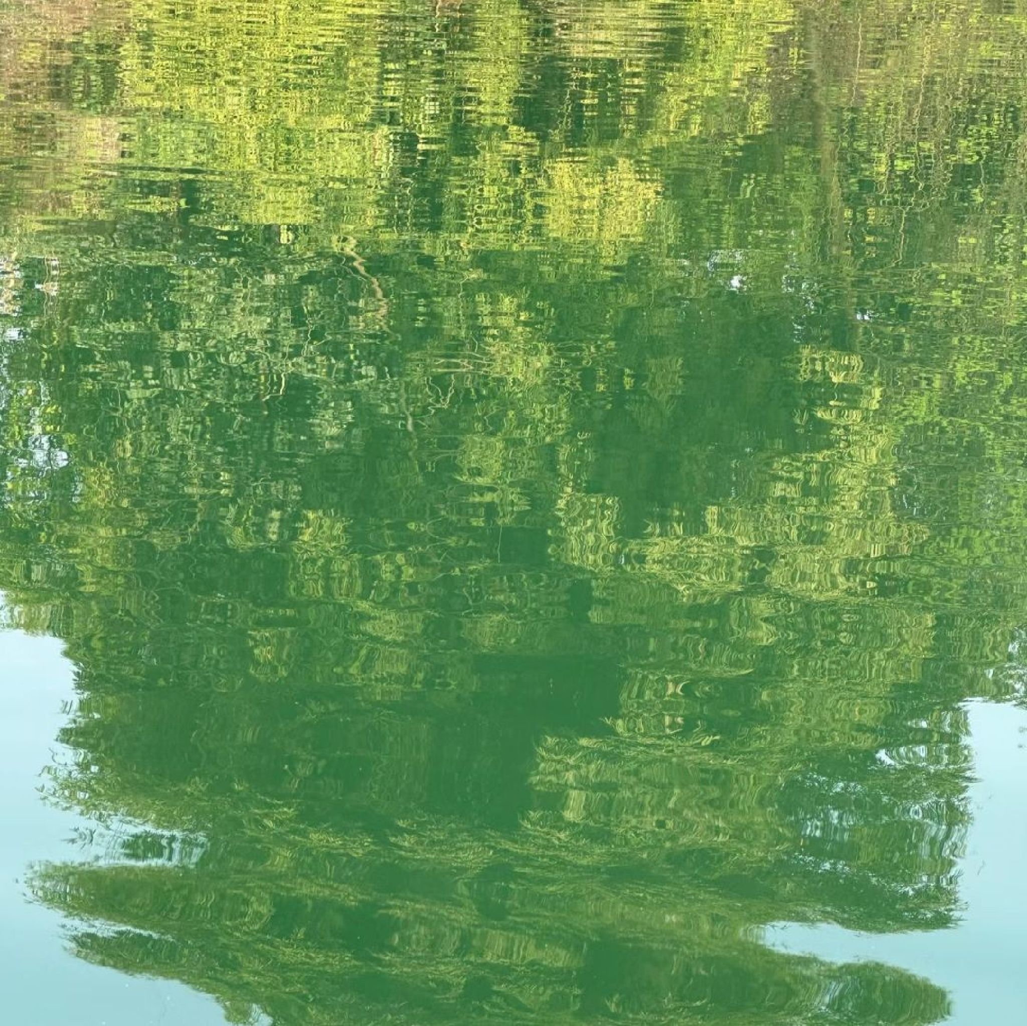 凤凰湖风景区旅行图片 3