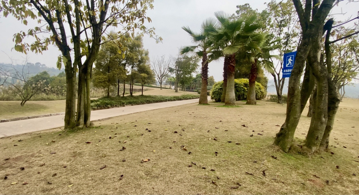 凤凰湖风景区旅行图片 3