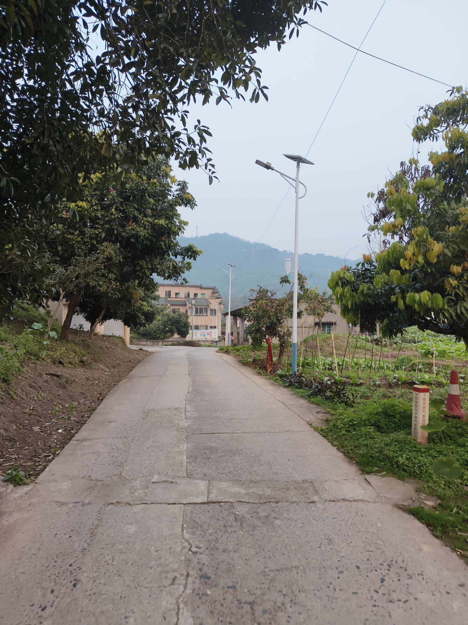 杨桥湖风景区旅行图片 1