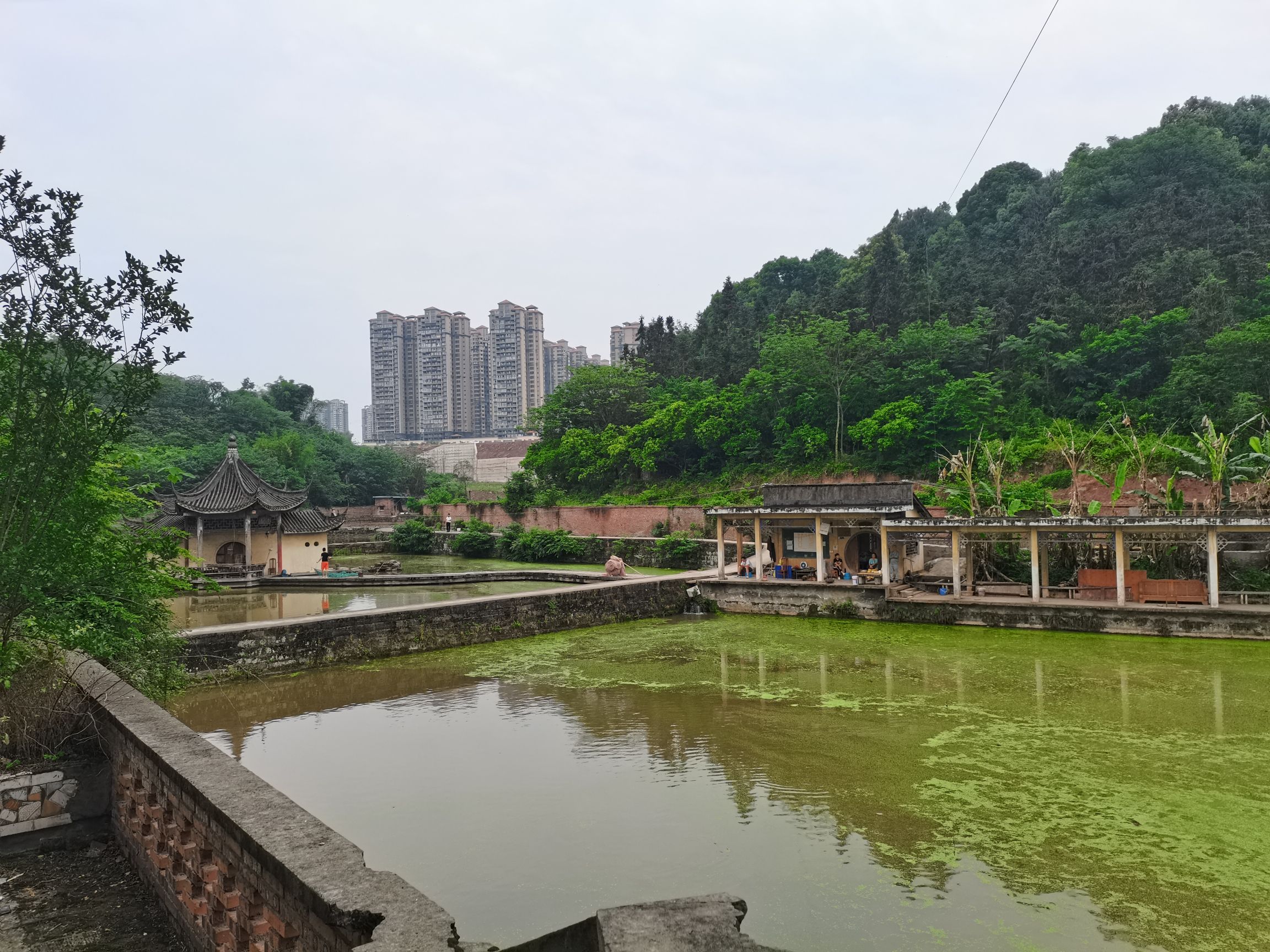 杨桥湖风景区旅行图片 2